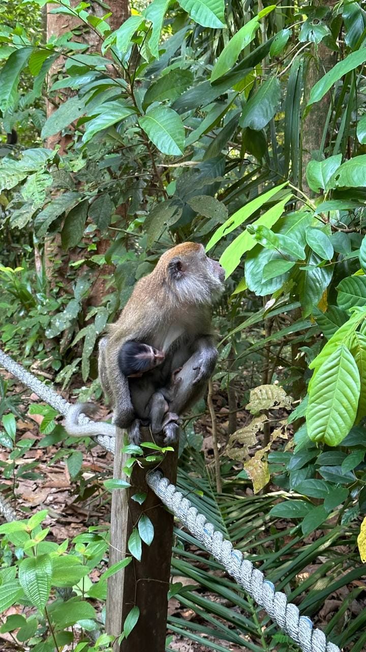 Сингапур за 96 часов: главные места и вкусные находки