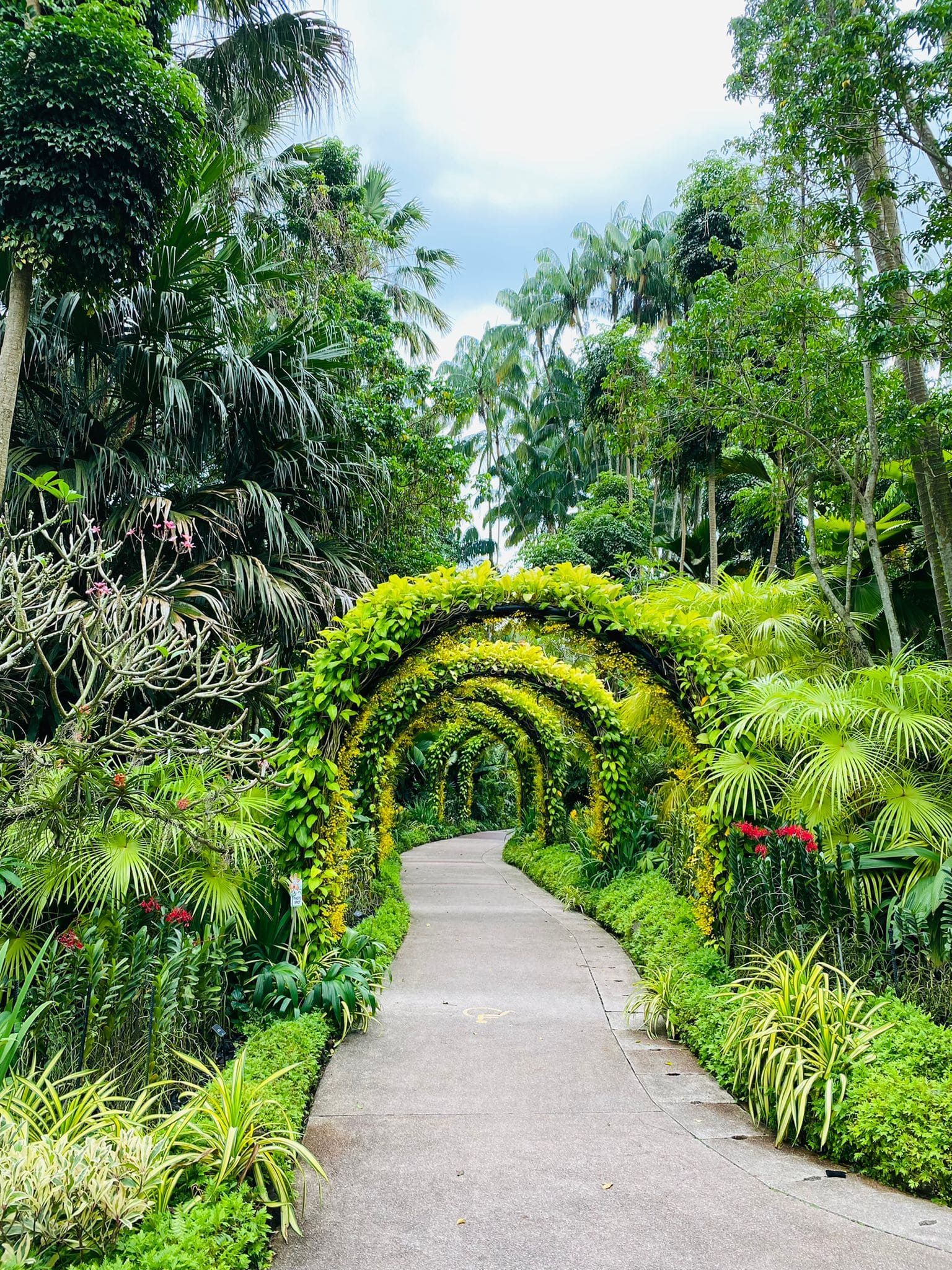 Сингапур за 96 часов: главные места и вкусные находки