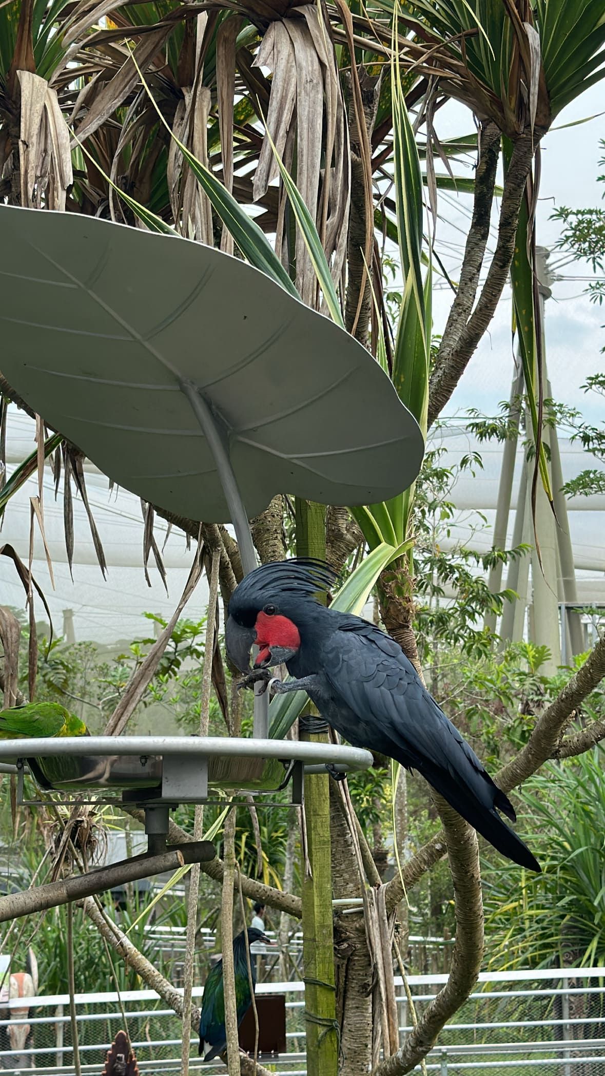 Сингапур за 96 часов: главные места и вкусные находки