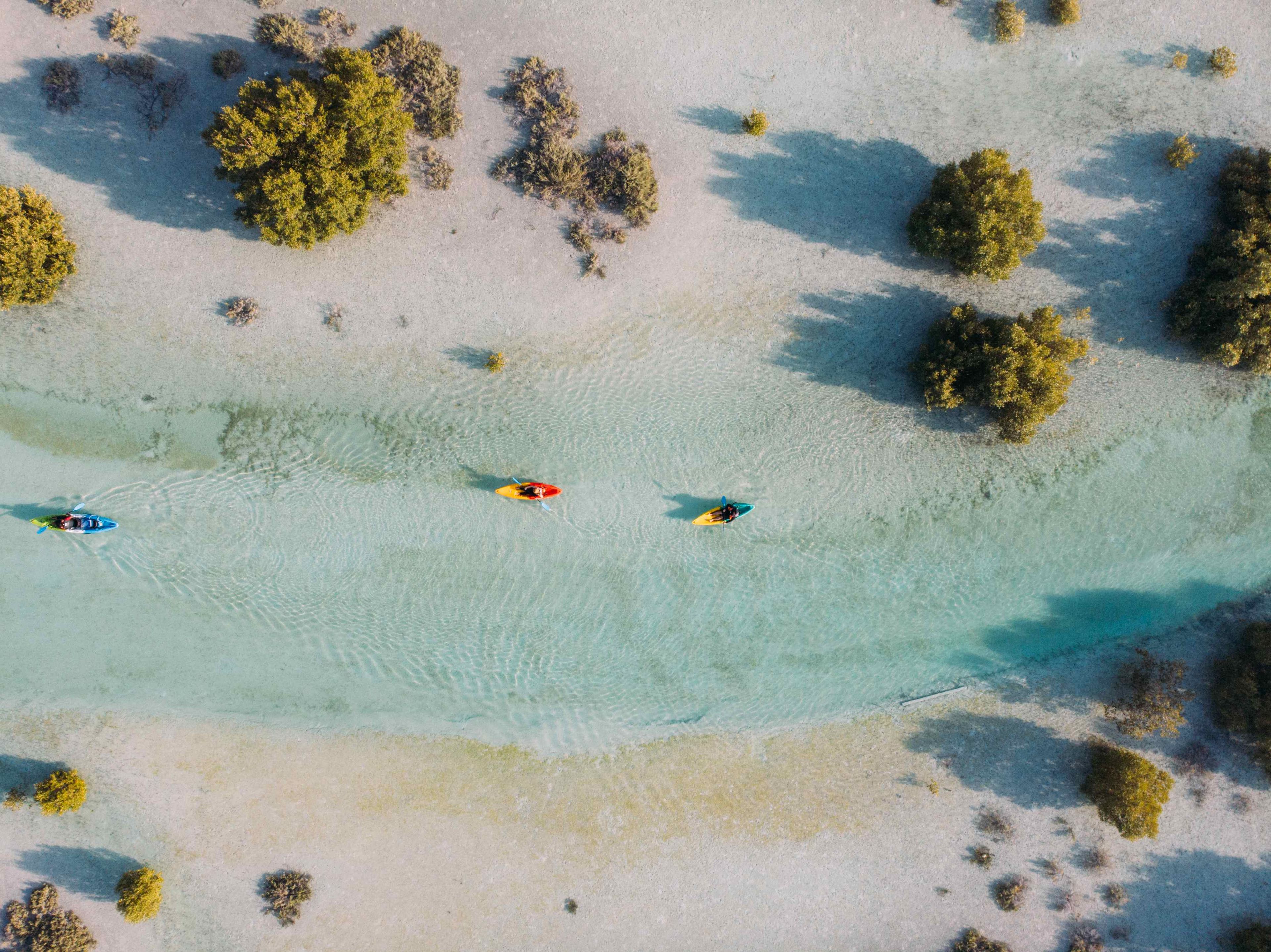 Каякинг в Мангровом заповеднике