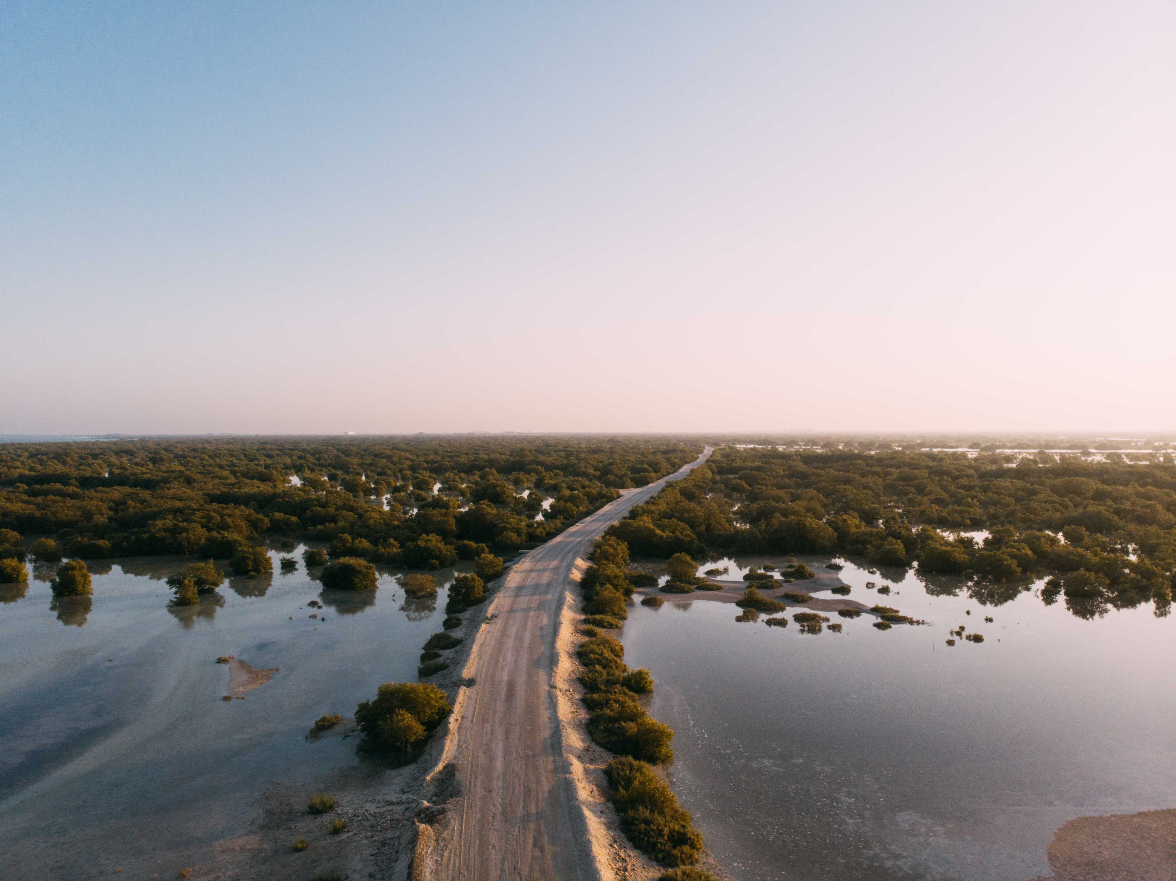 Мангровый заповедник