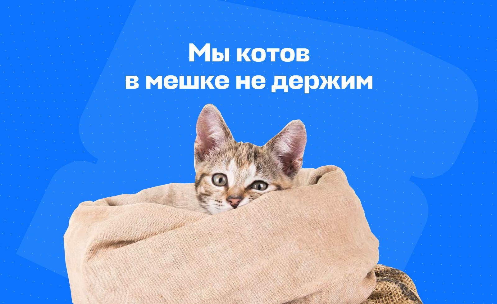 Почему на Авиасейлс безопасно покупать билеты