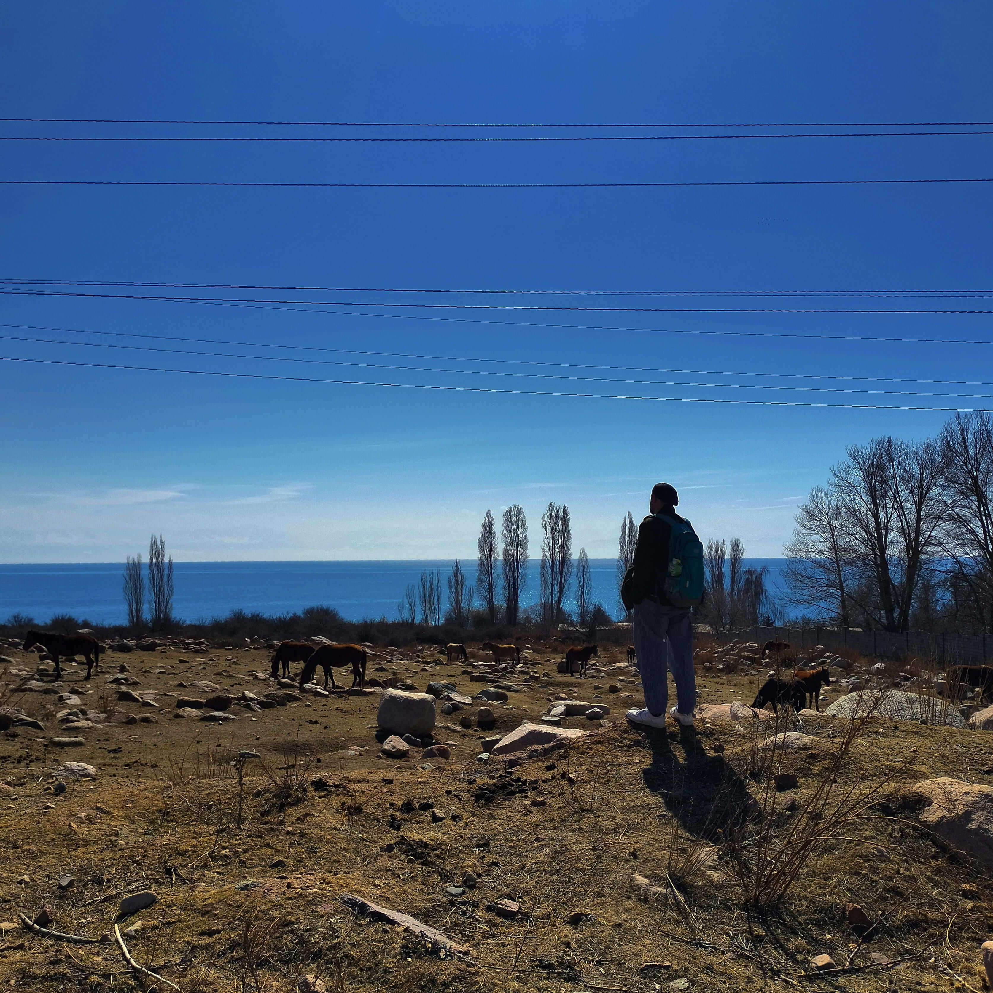 Природа в Кыргызстане