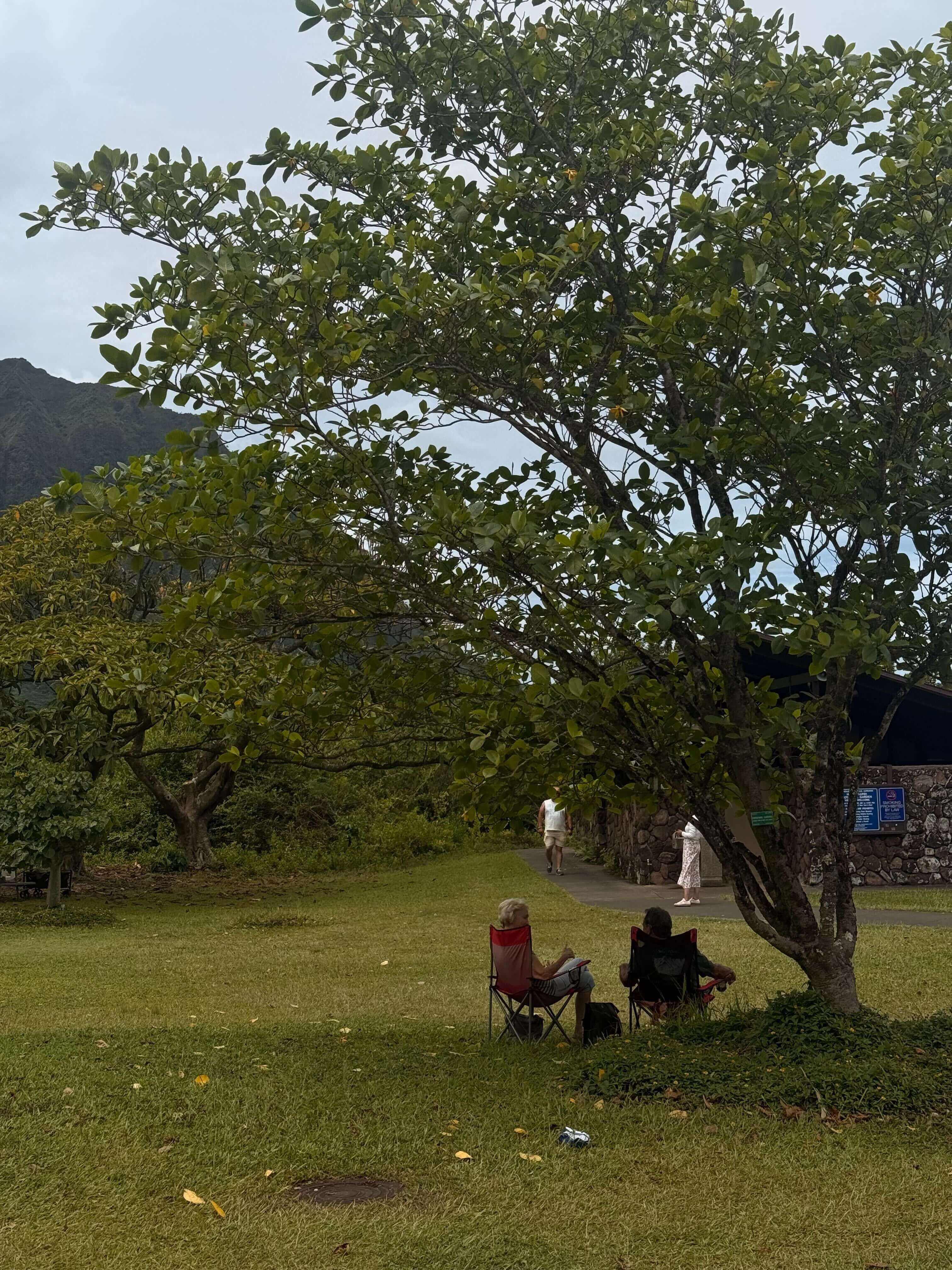 O'ahu Botanical Garden 2.jpg