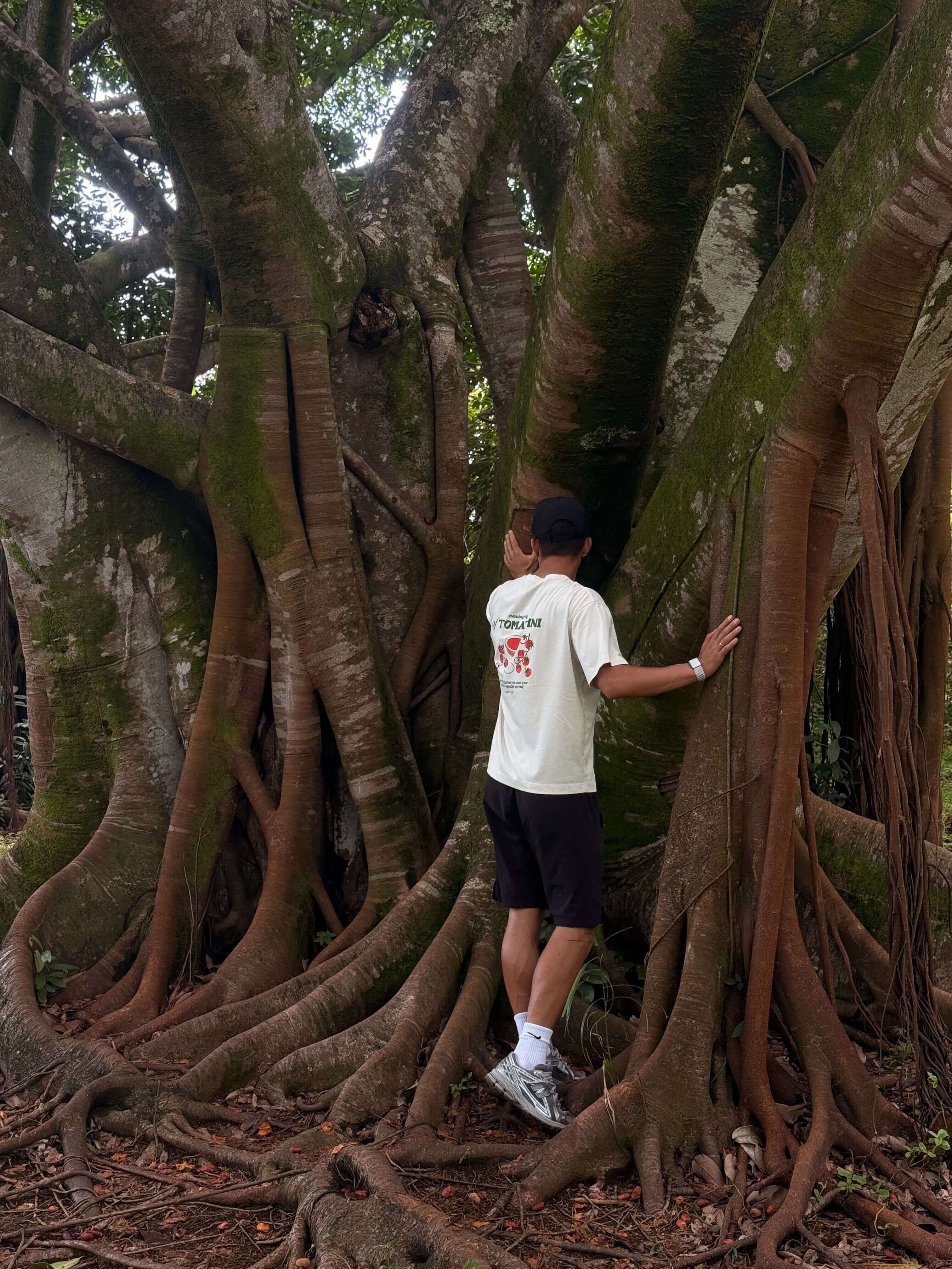 O'ahu Botanical Garden 5.jpg