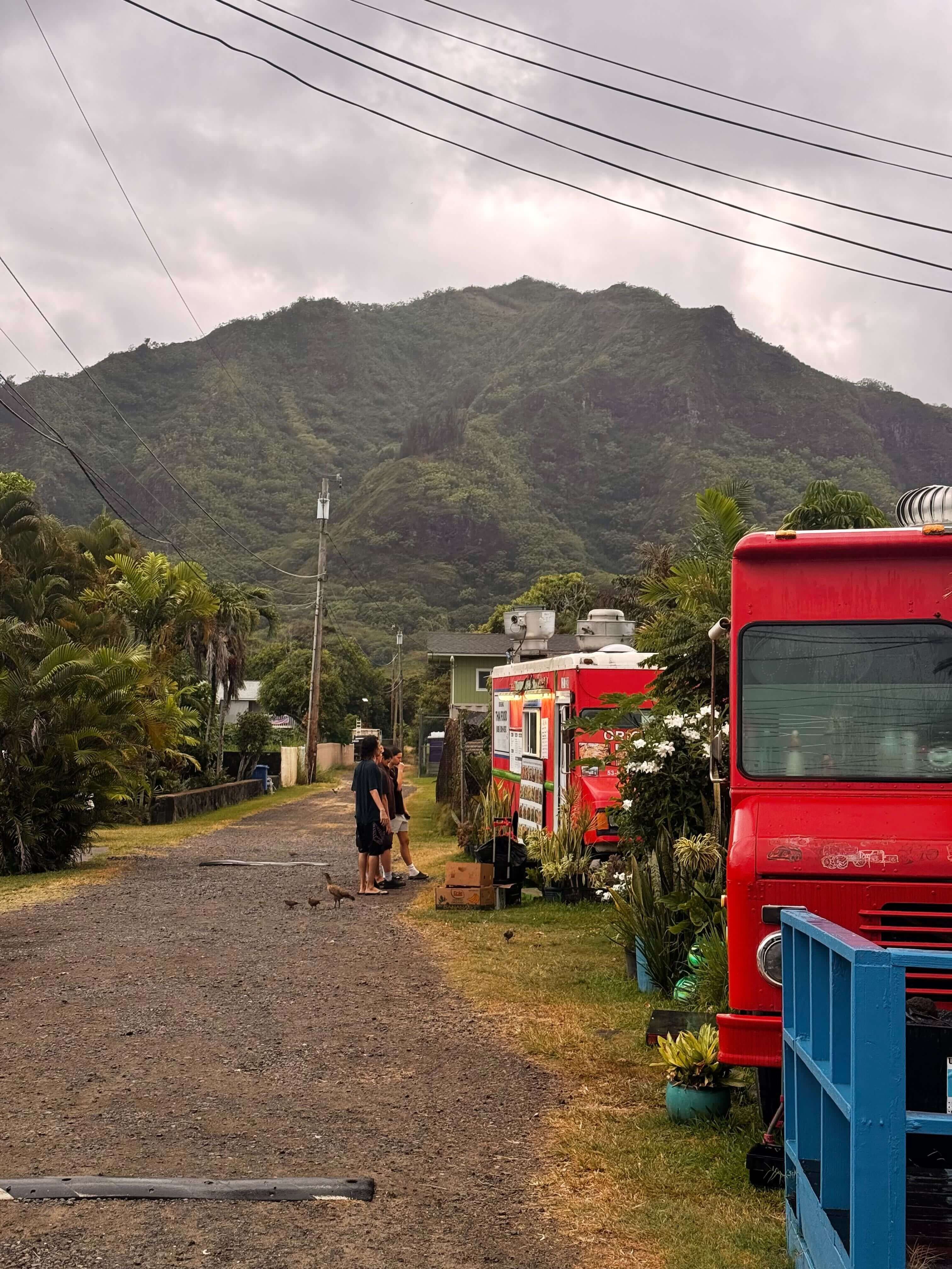 O'ahu еда aloha shrimp.jpg