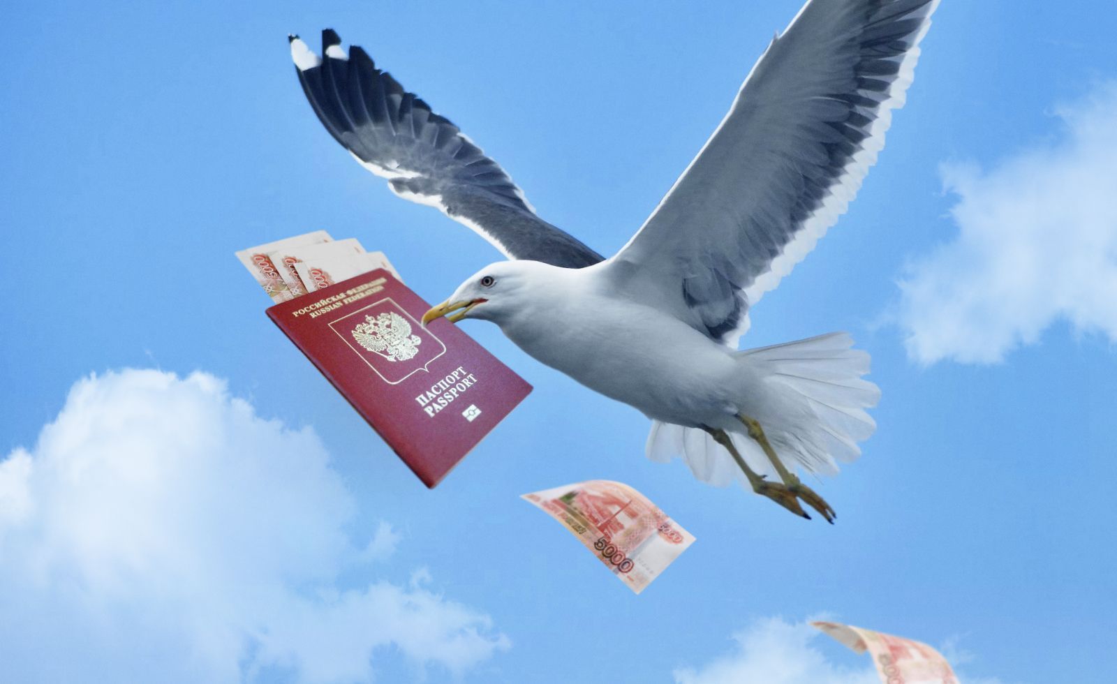 Что делать, если украли деньги или документы во время путешествия