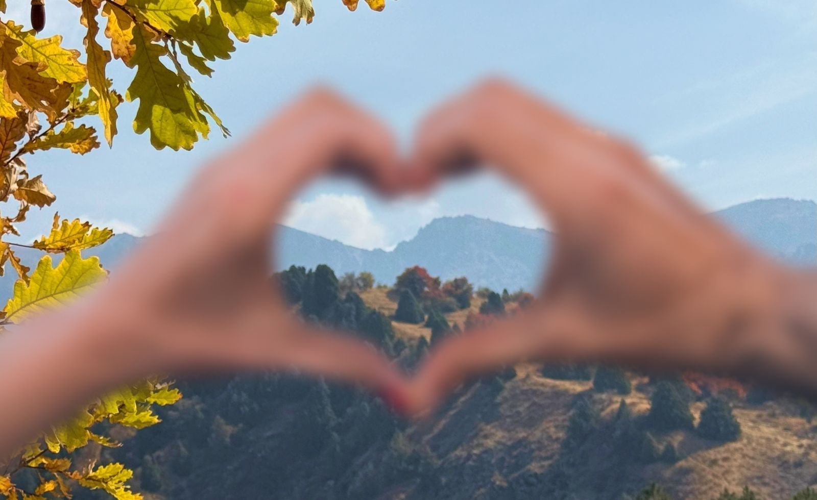 Tabiatga yaqinroq: Toshkentdagi smogdan qayerga qochish mumkin?