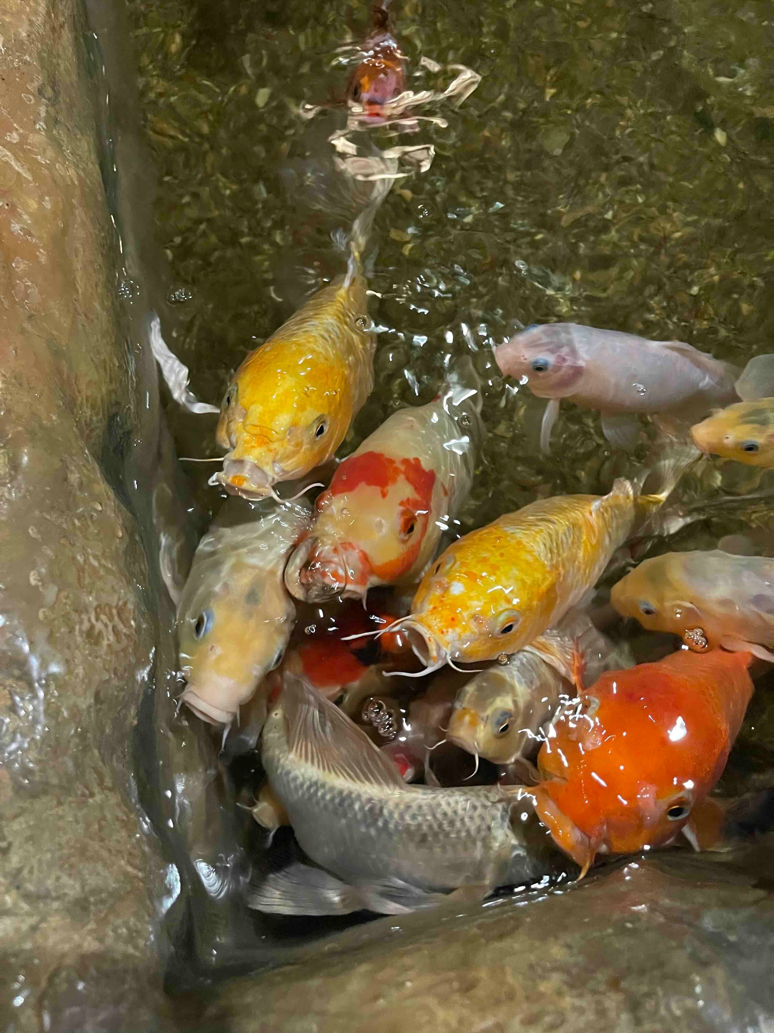 Где провести время с детьми в Астане: лучшие места для прогулок и развлечений