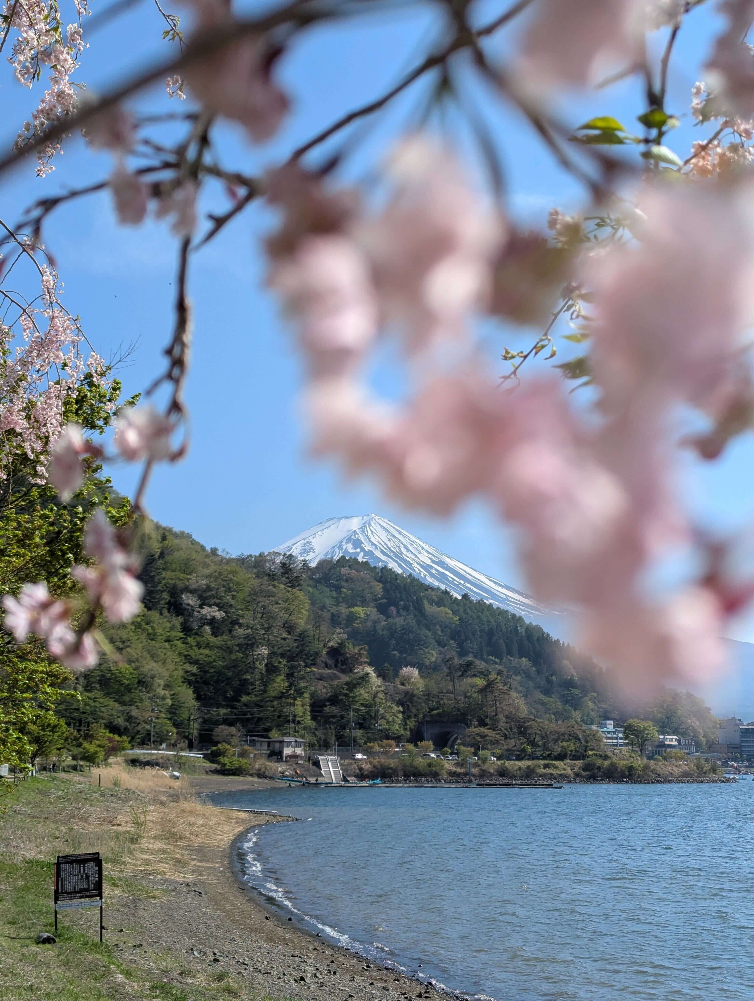 Фудзикавагутико