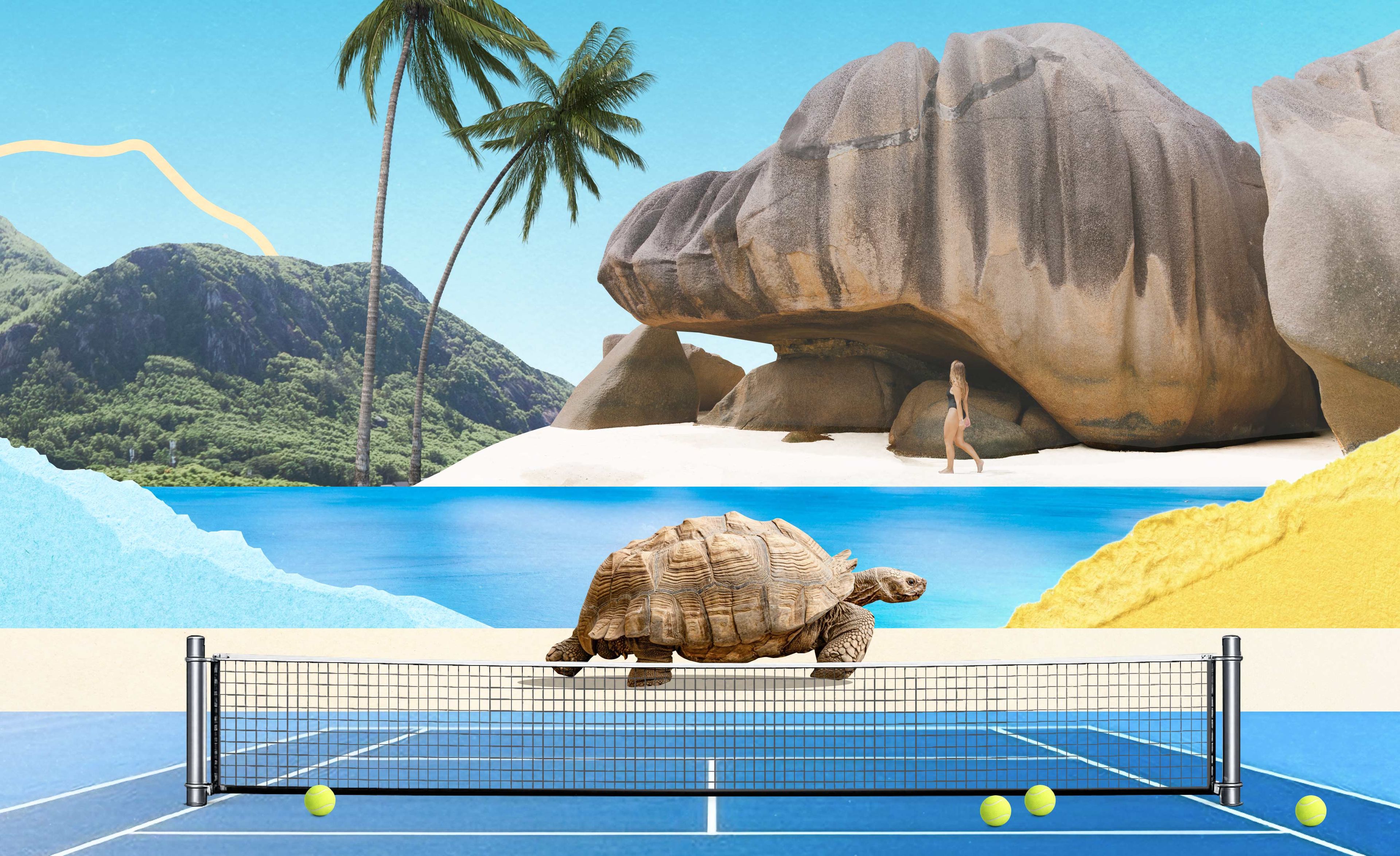 Сейшелы для искателей приключений: чем заняться на островах, если любите активный отдых 