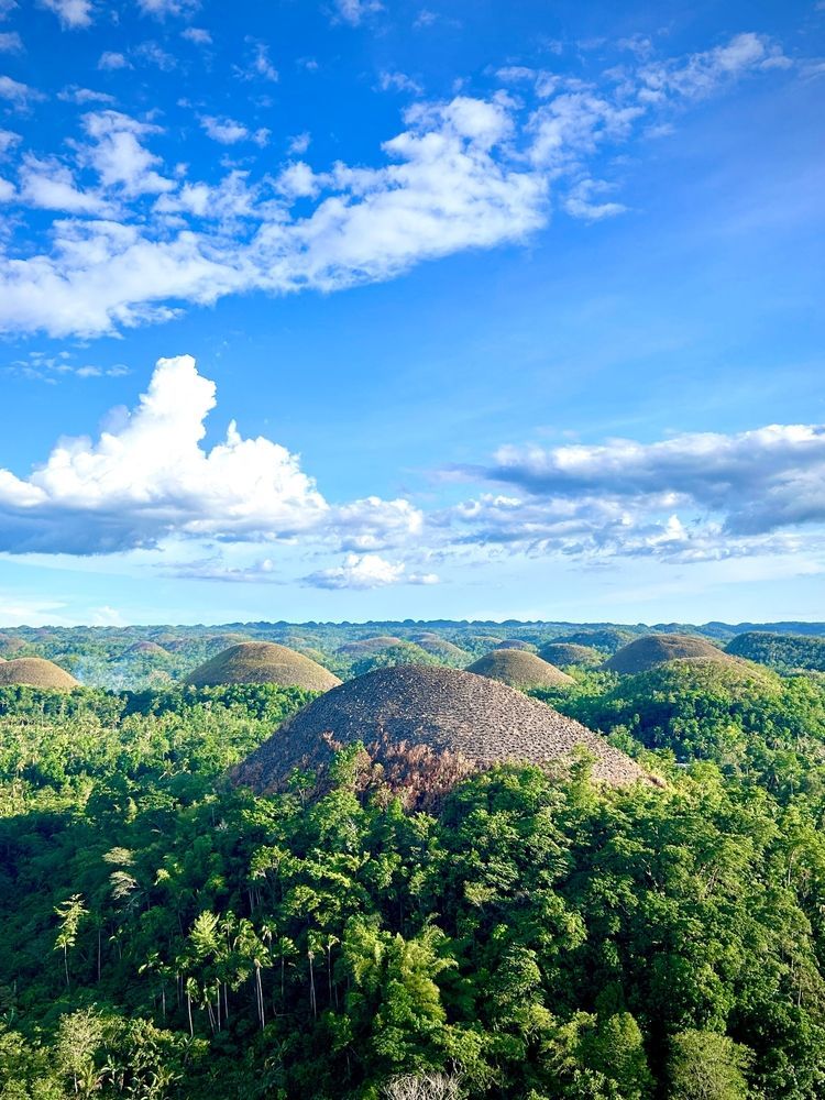 Шоколадные холмы Бохола