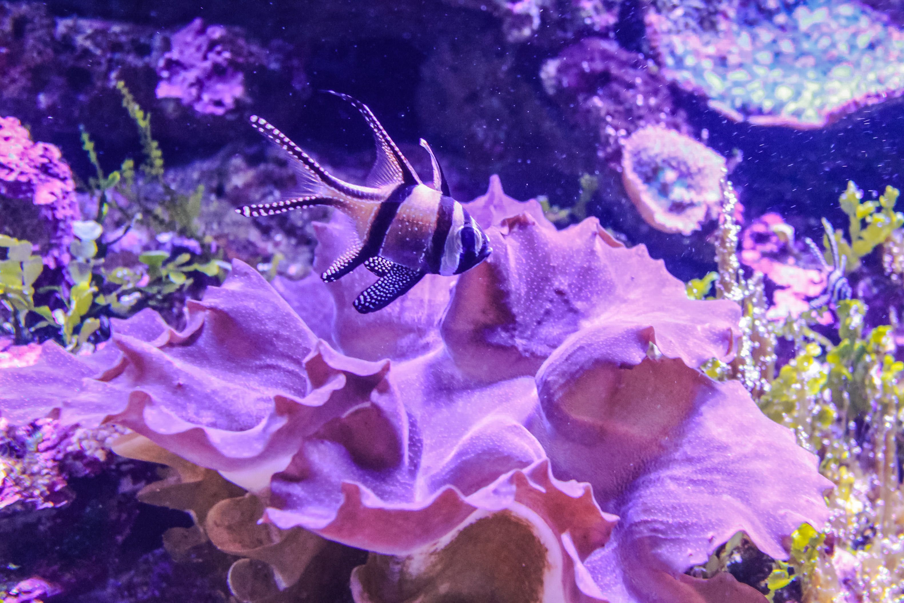 что посмотреть в Австралии