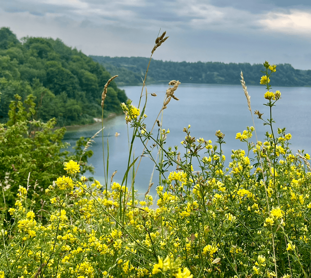 Снимок экрана 2024-07-17 в 14.18.14.png