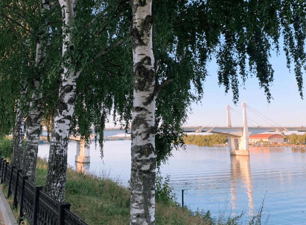 Вид на реку и берёзы