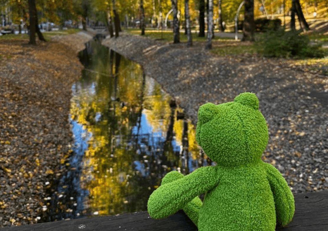 Лягушка на мосту