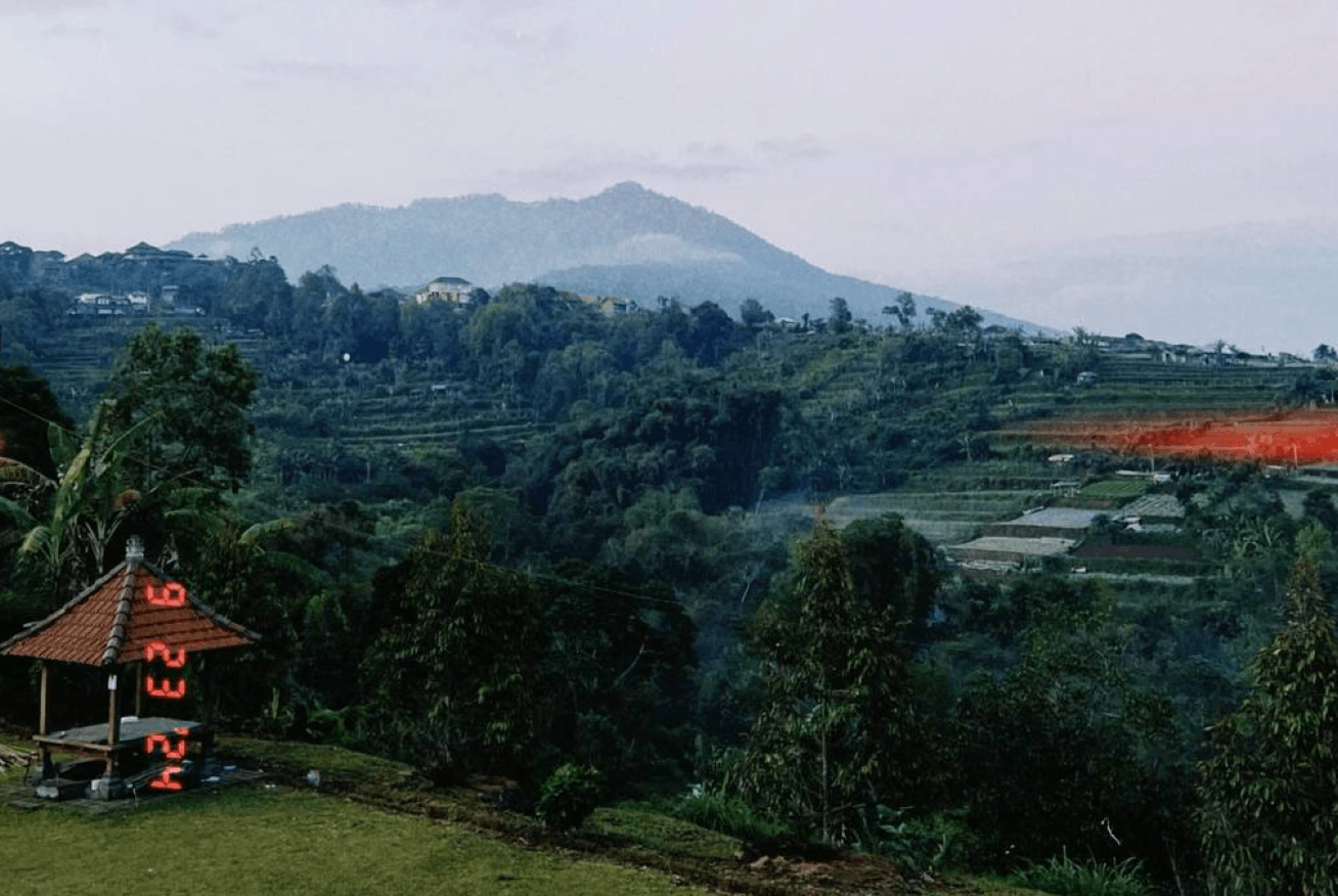 Рисовые террасы Бали