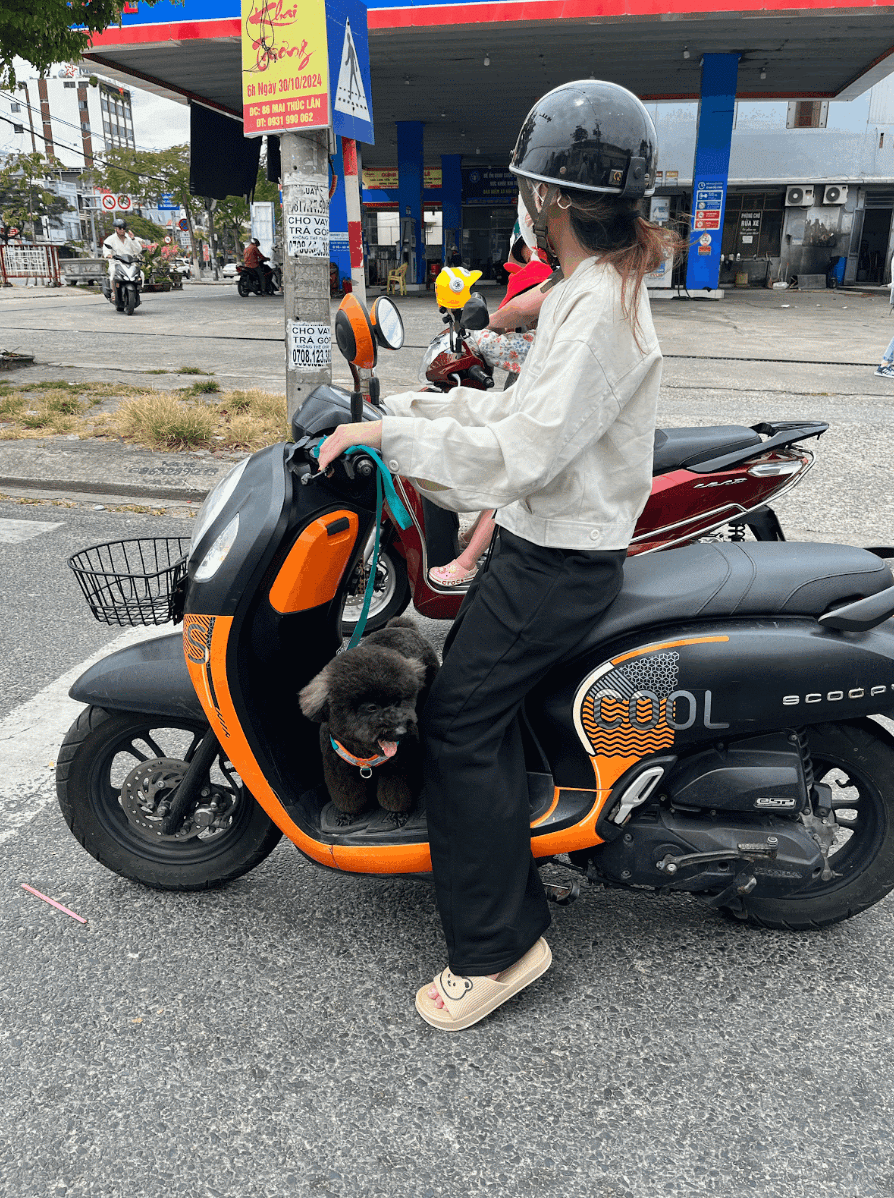 Транспорт во Вьетнаме