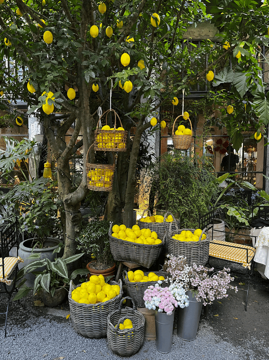 Улица в Дананге