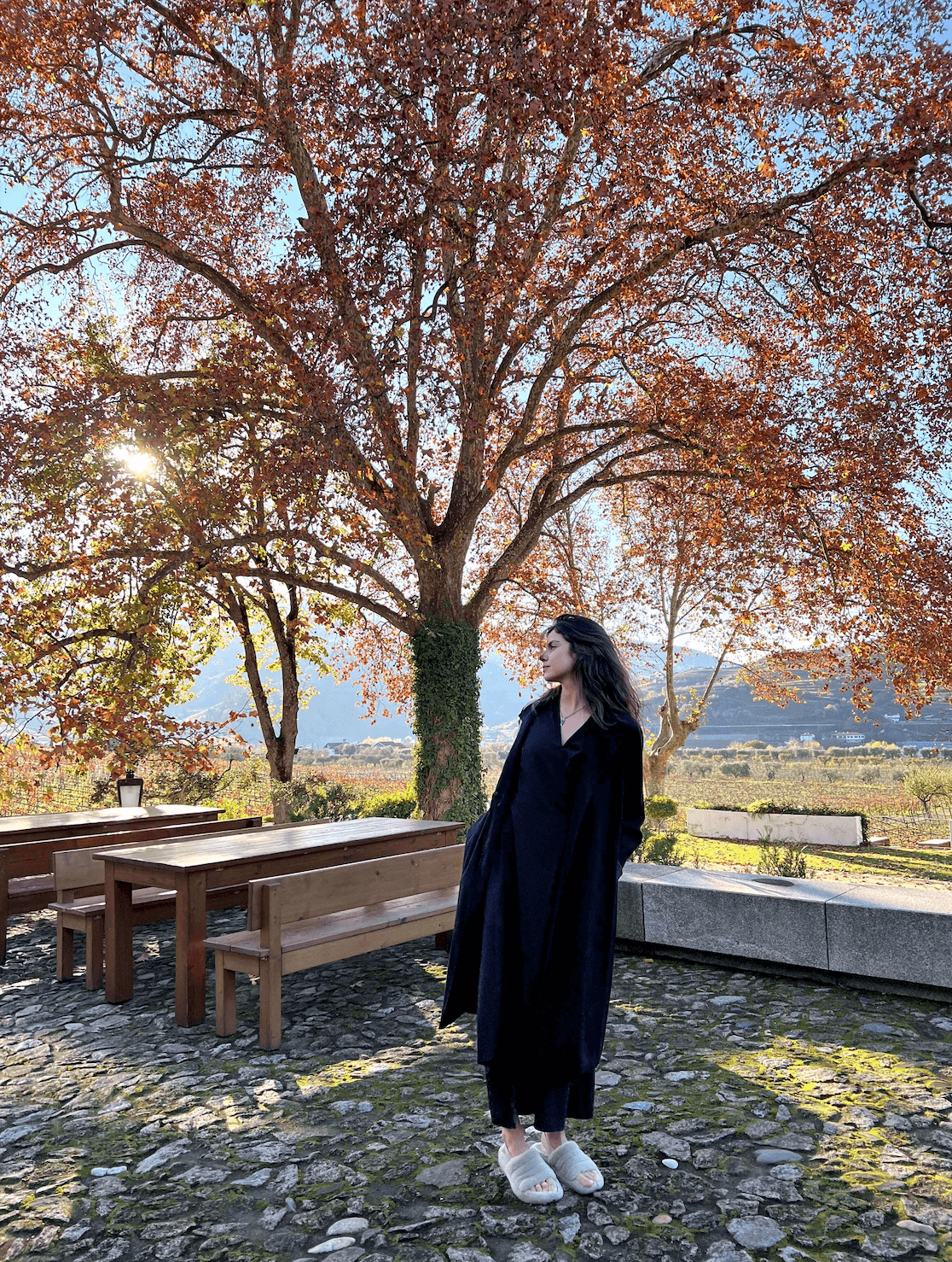 Винодельня в Португалии