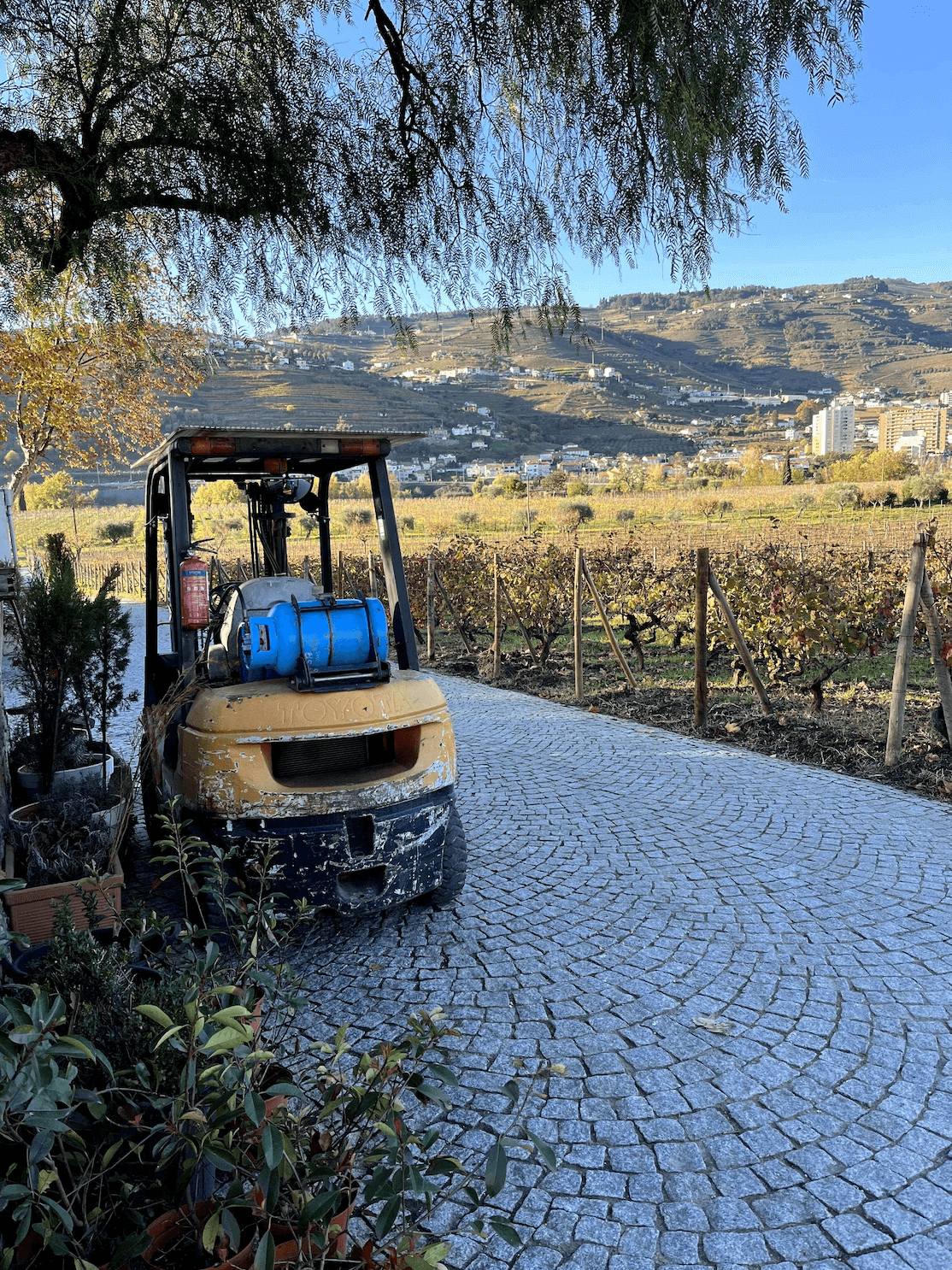 Винодельня в Португалии