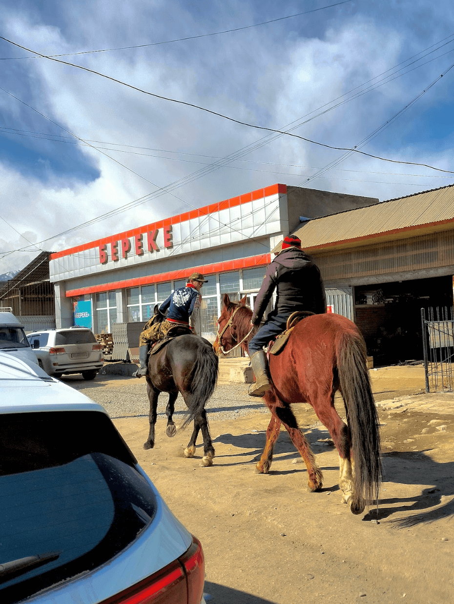 Лошади в Кыргызстане