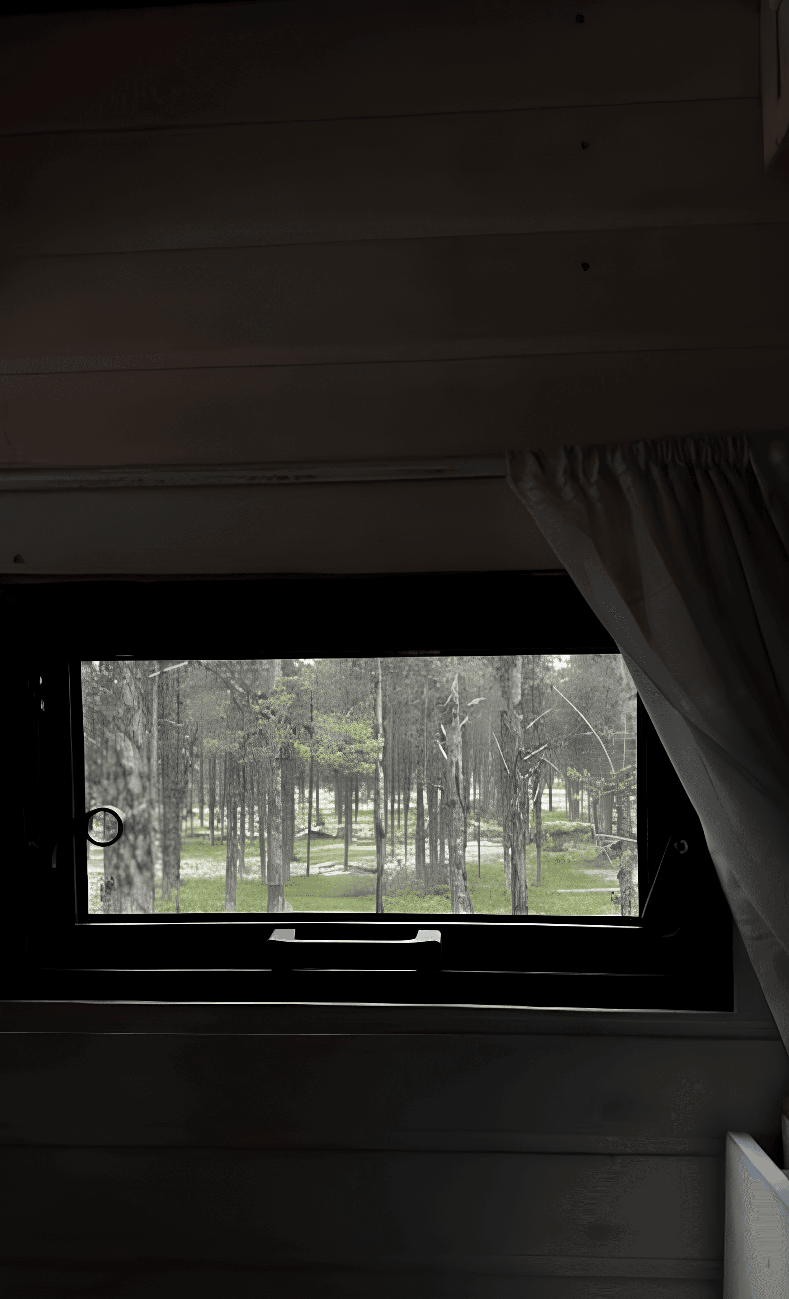 Путешествие в доме на колёсах