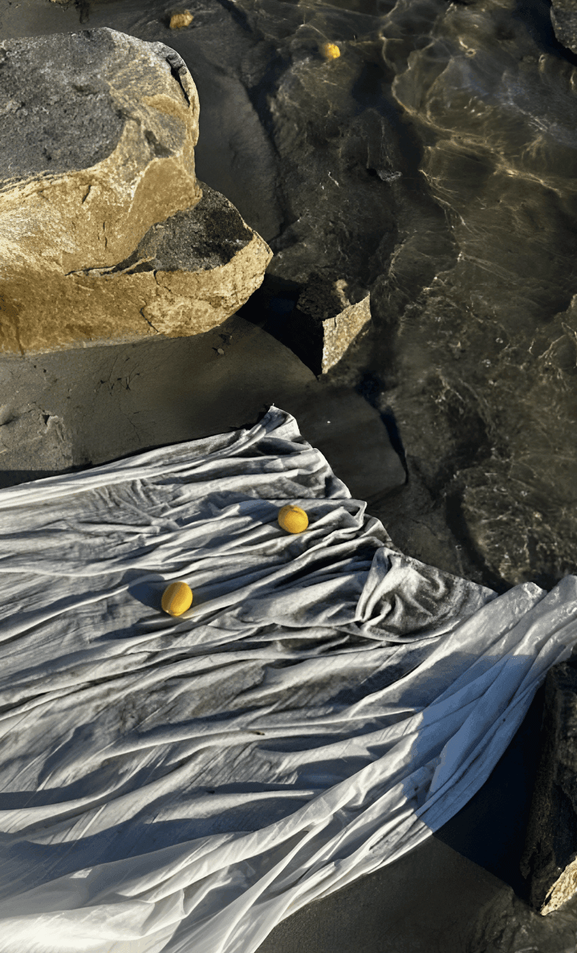 Пикник на природе