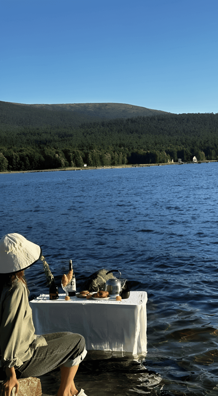 Пикник на природе