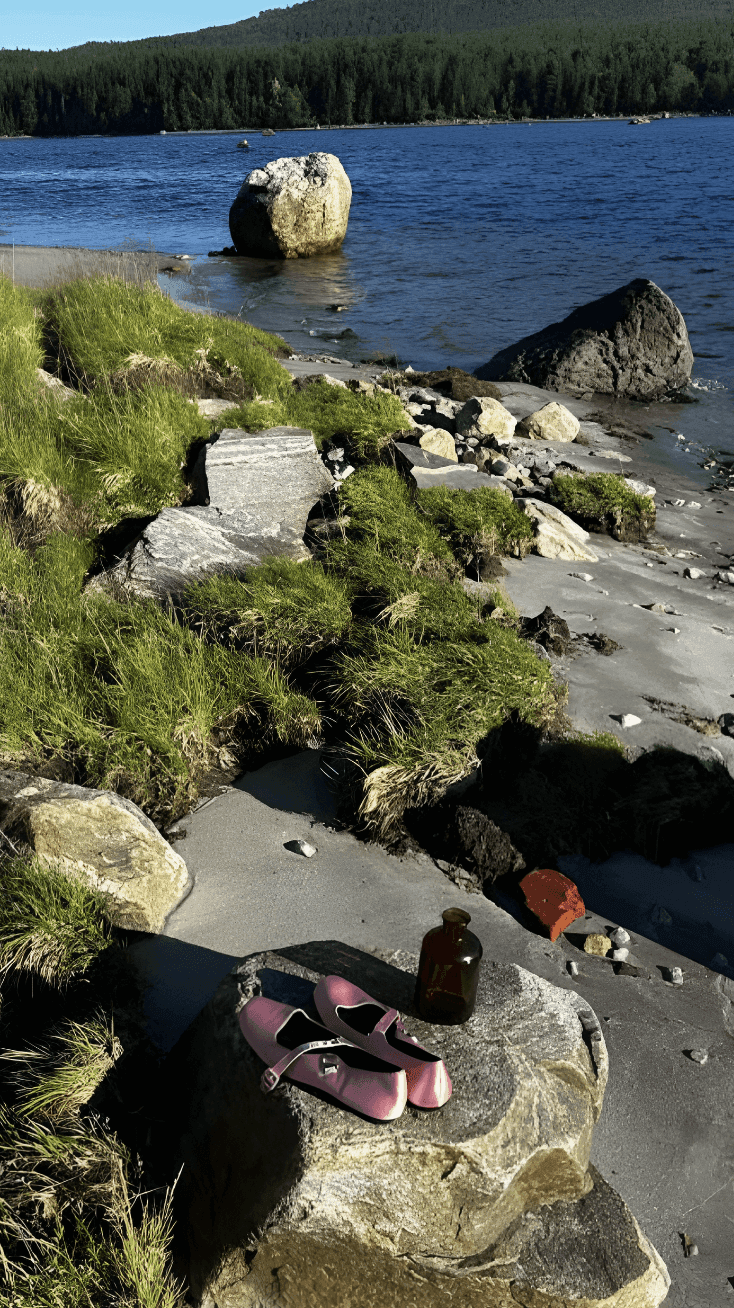 Пикник на природе