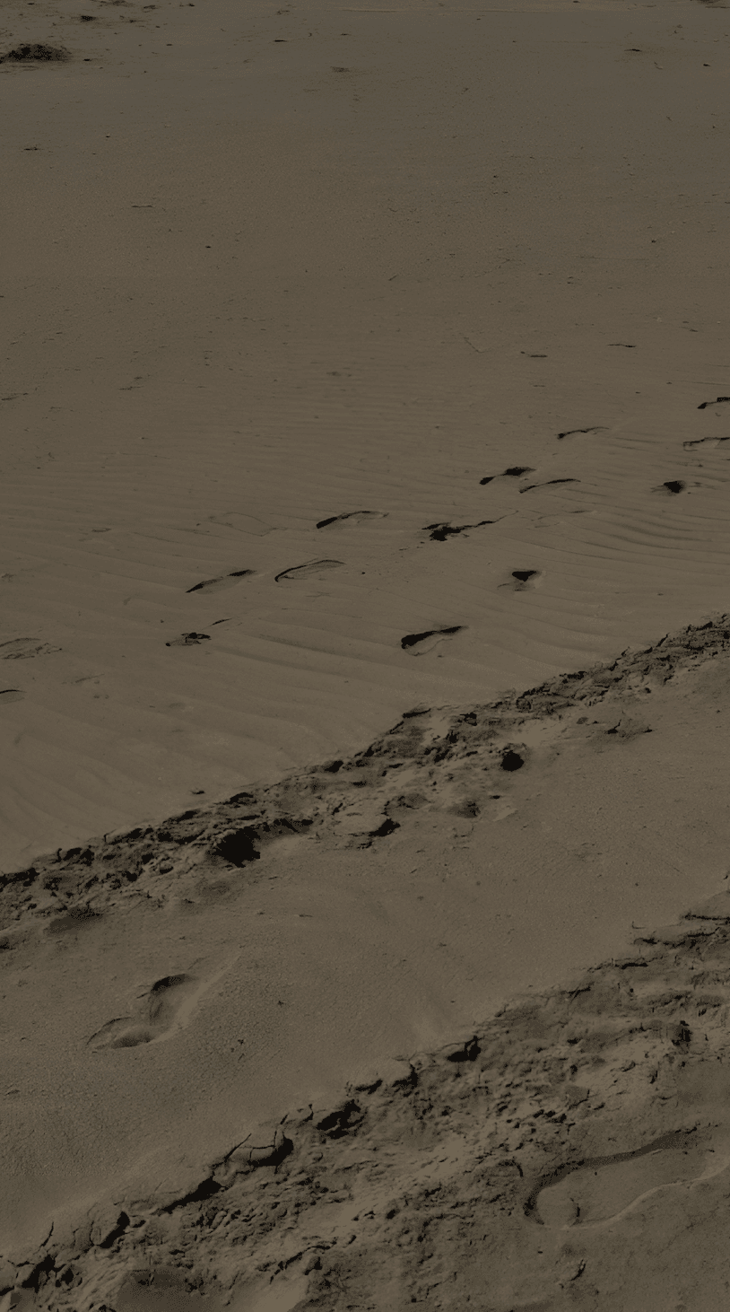 Пустыня на Кольском полуострове