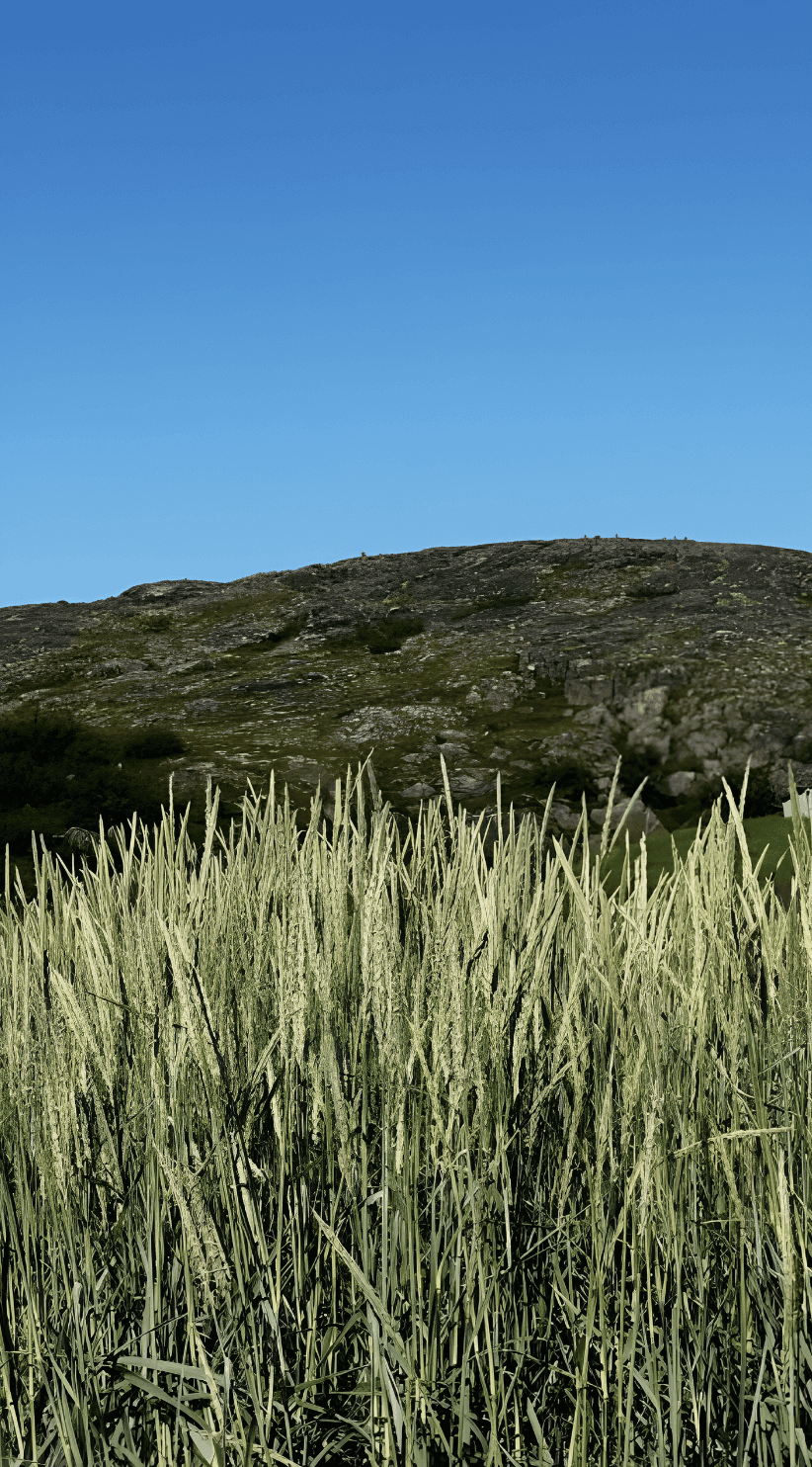 Териберка, Мурманская область