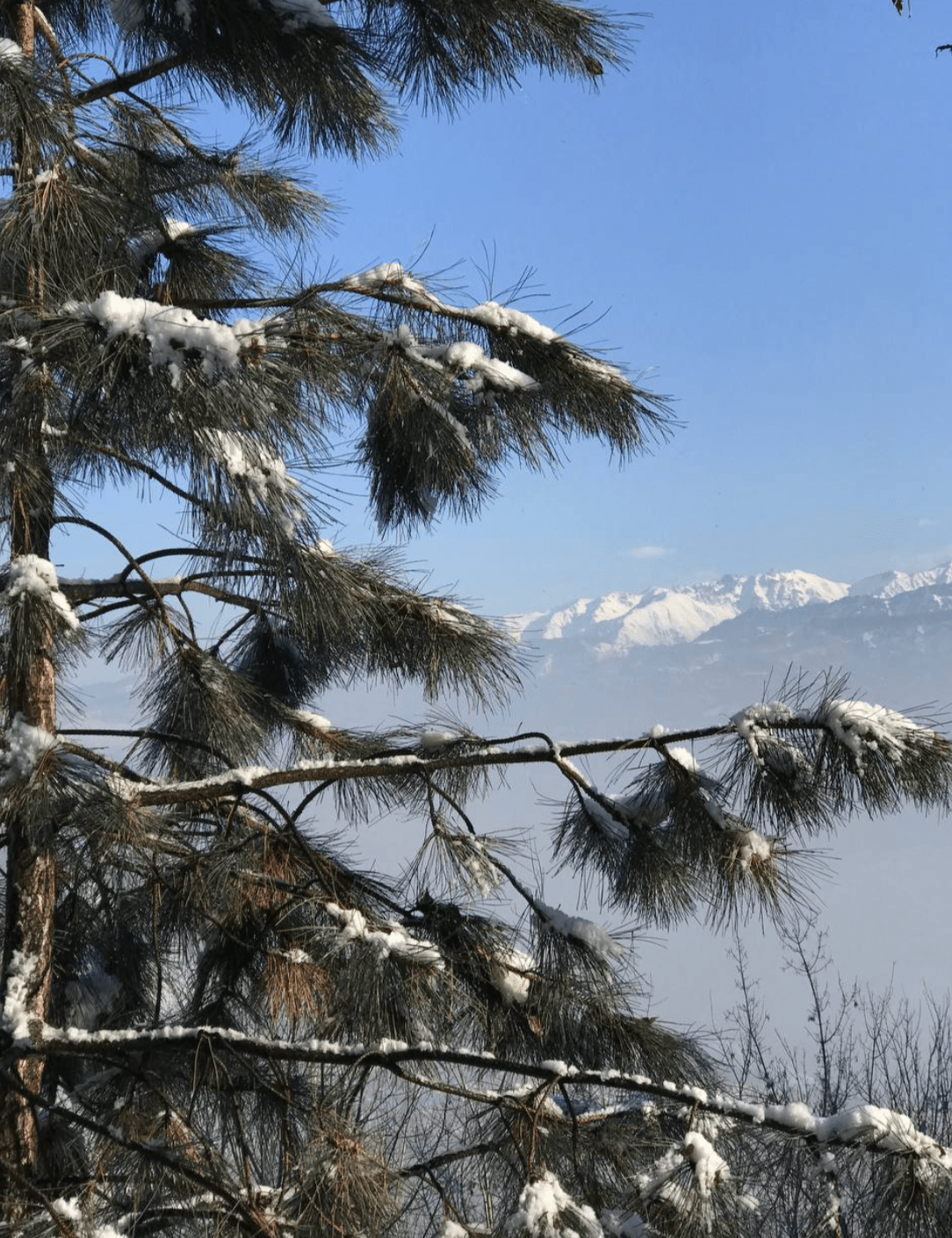 Гора Кок-Тобе в Алматы, Казахстан