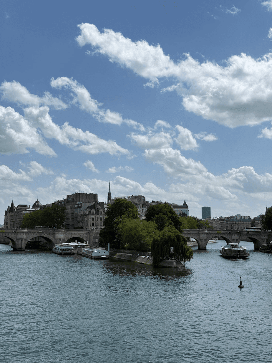 Остров Сите в Париже
