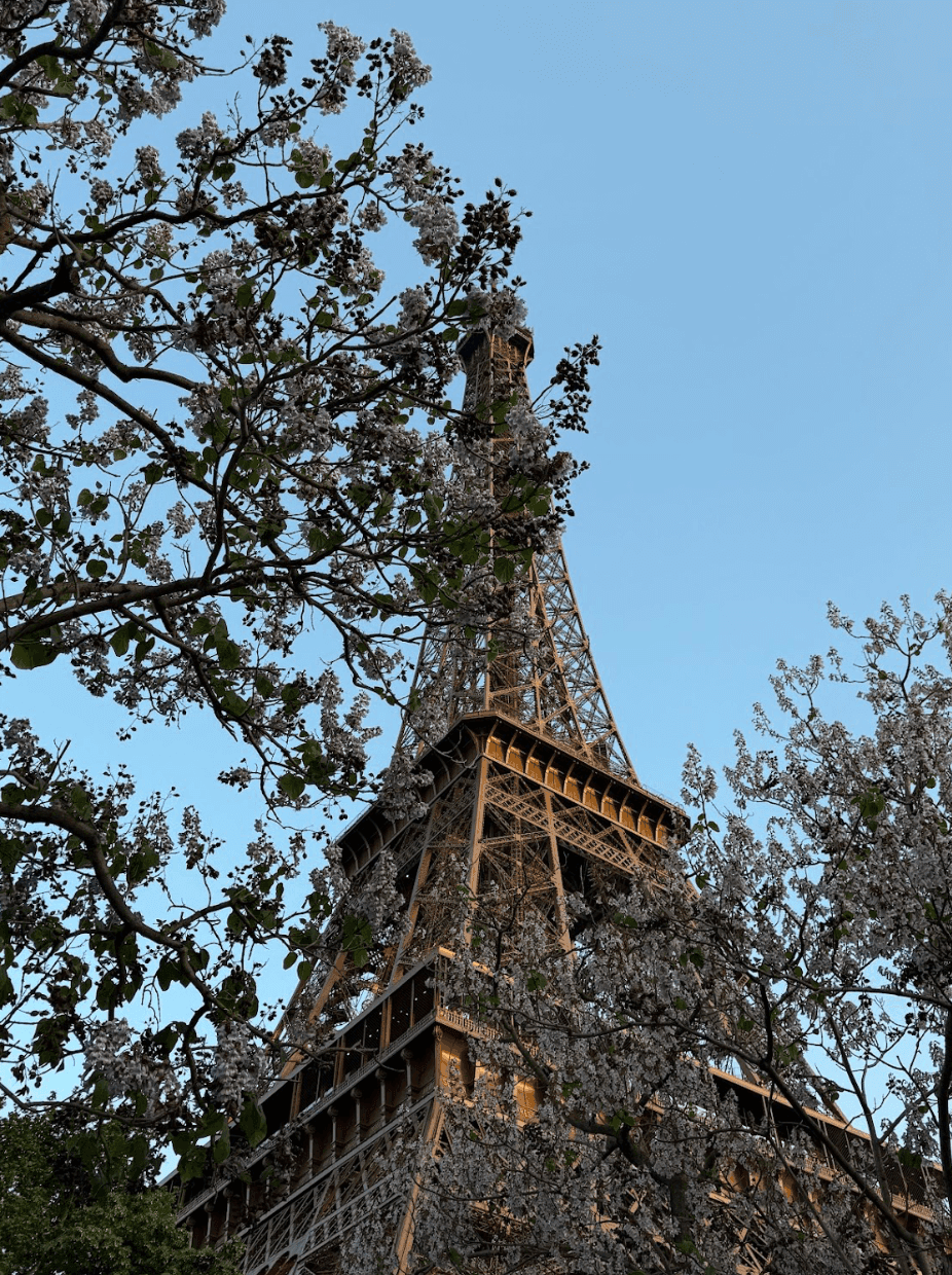 Эйфелева башня в Париже
