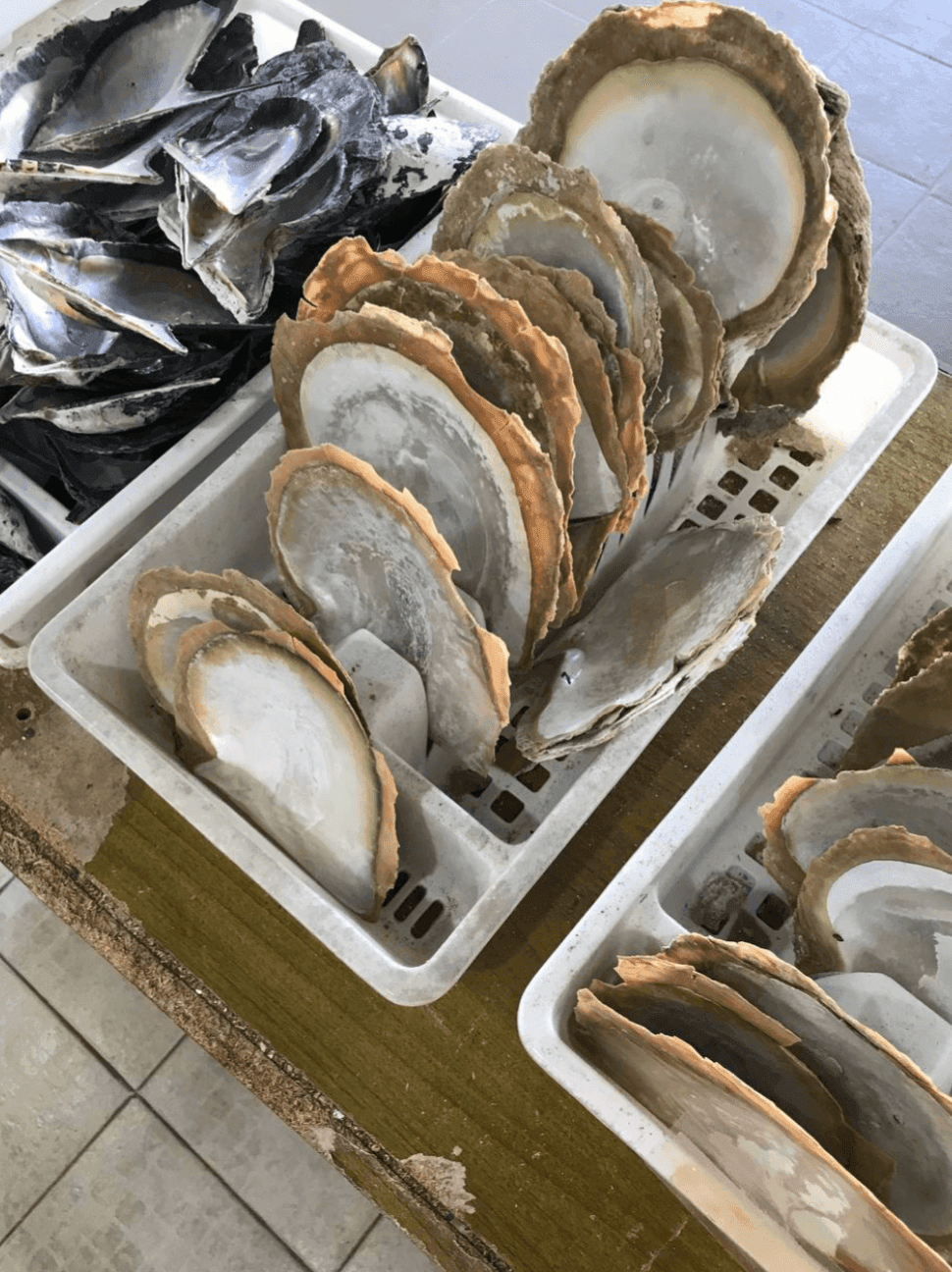 Жемчужная ферма на Пхукете