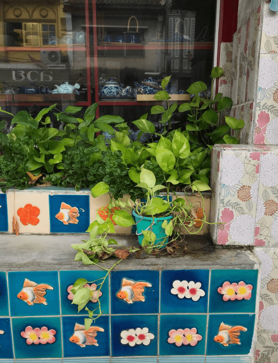 Пхукет-таун