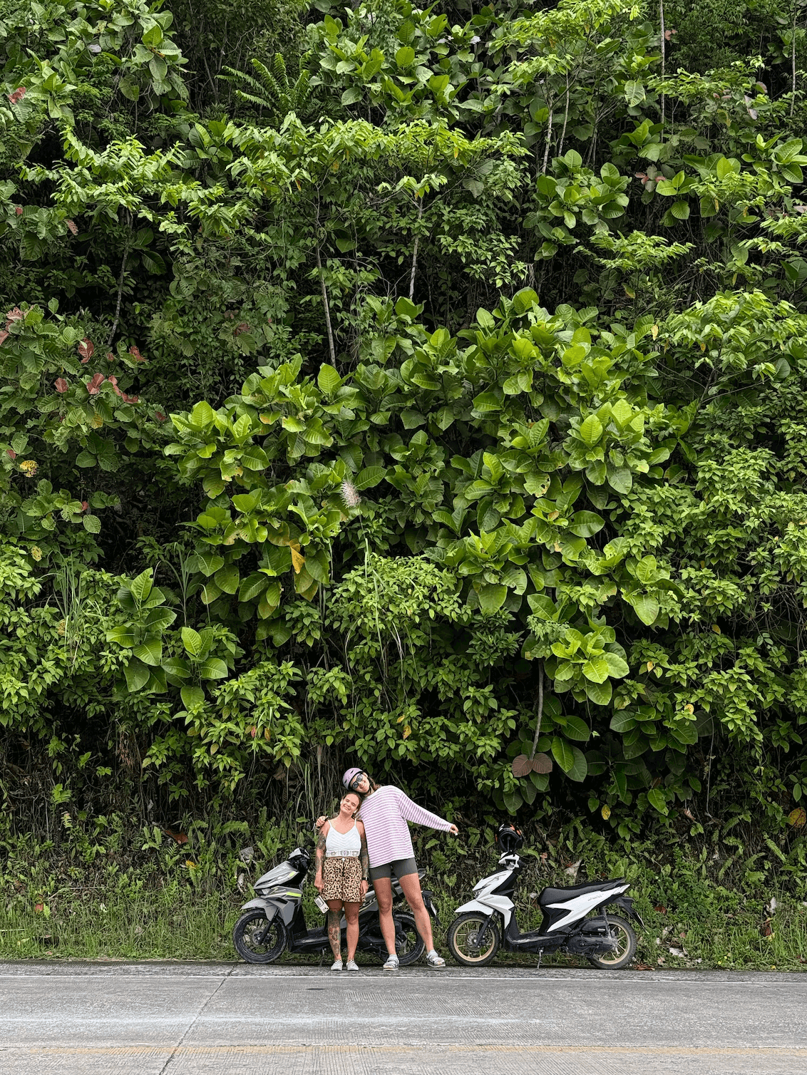 Пальмы на Филиппинах