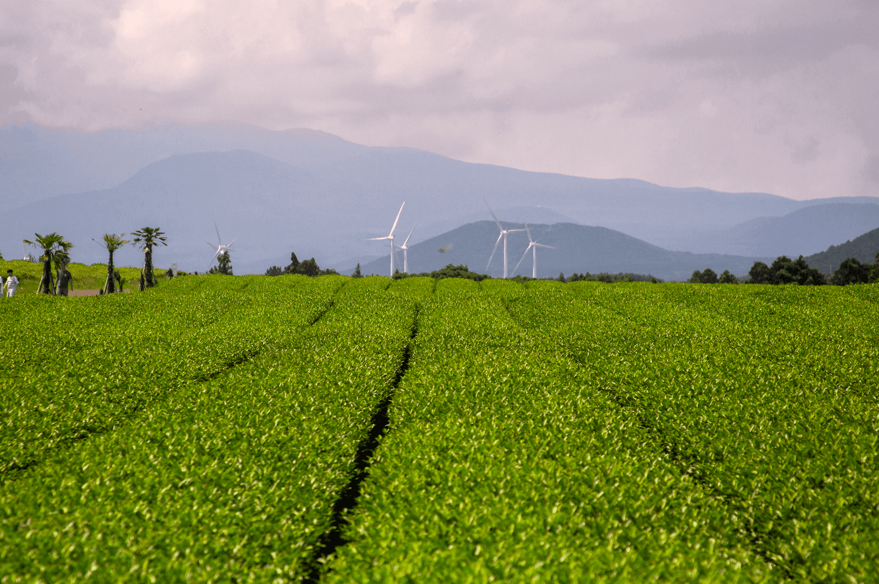 Остров Чеджу, Южная Корея