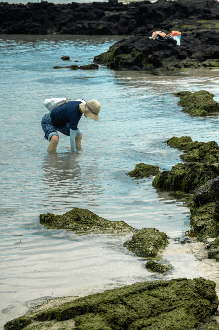 Пляж на Чеджу