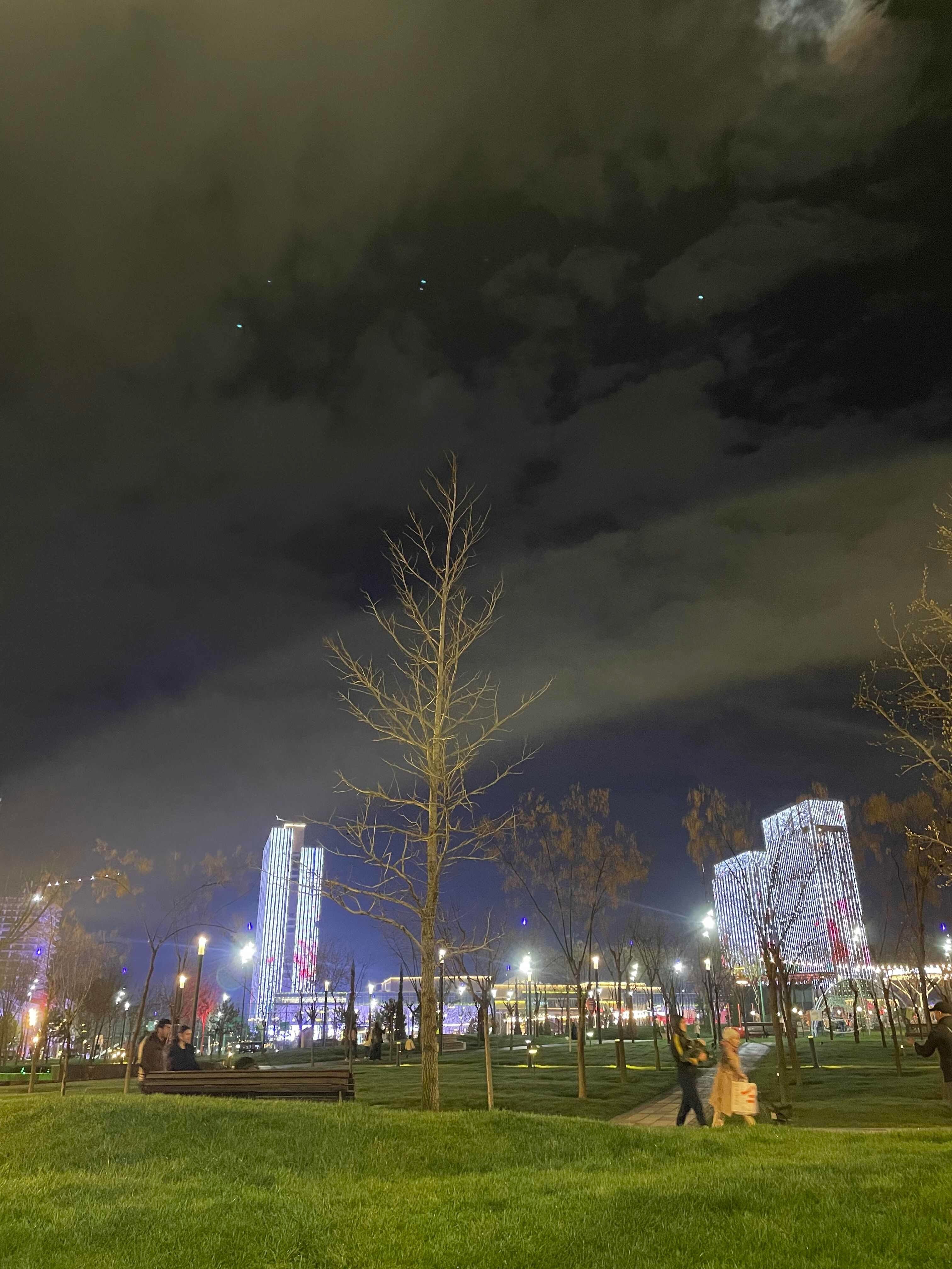 Tashkent City Park 2.jpg