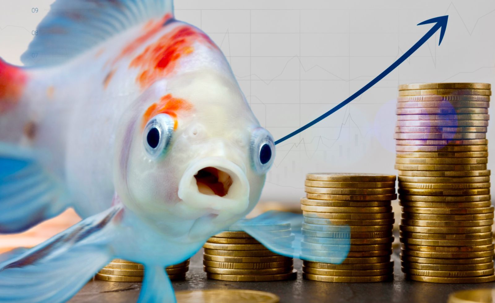 Туристический налог: что это и кто должен его платить