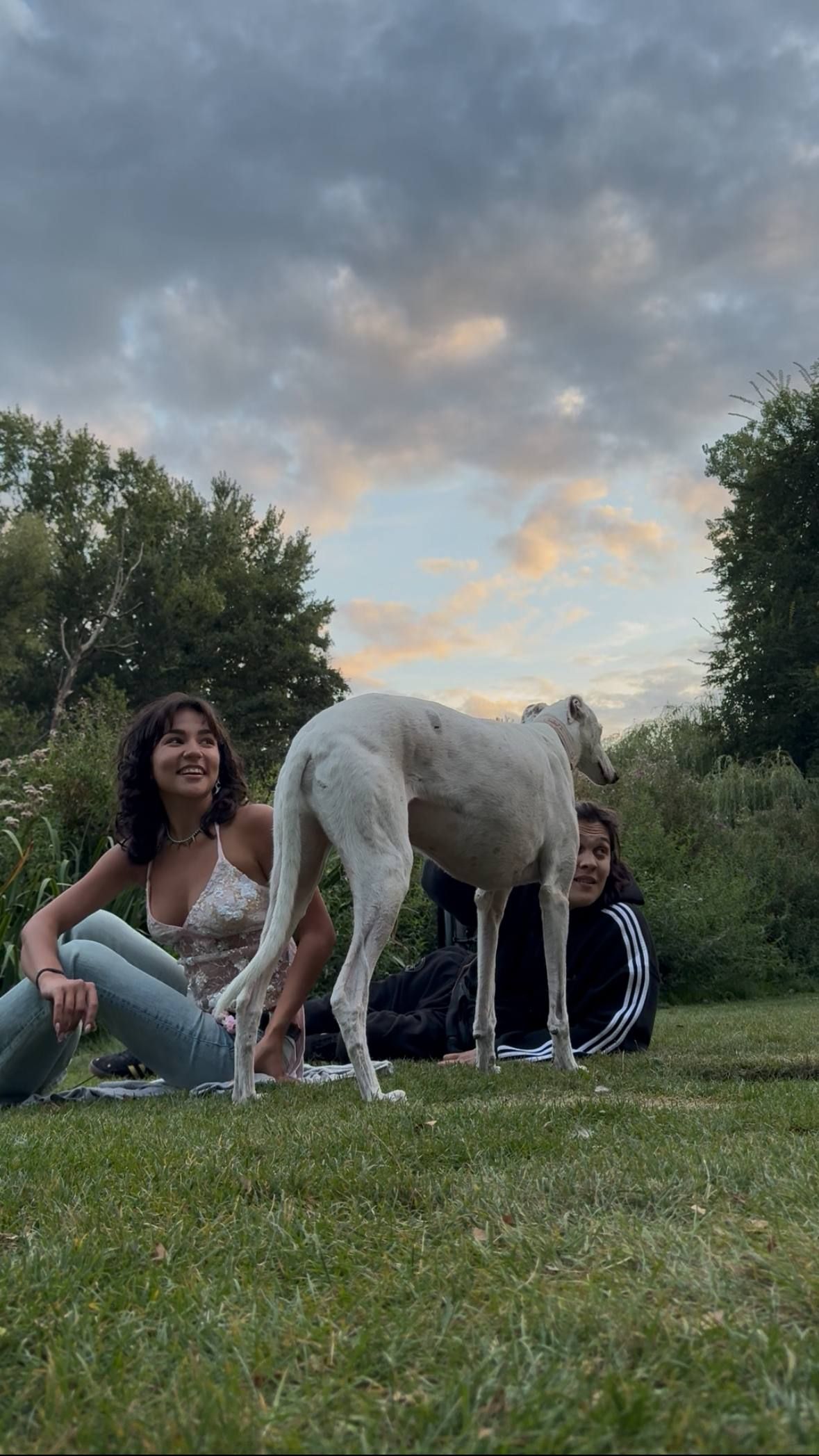 Vondelpark.jpg