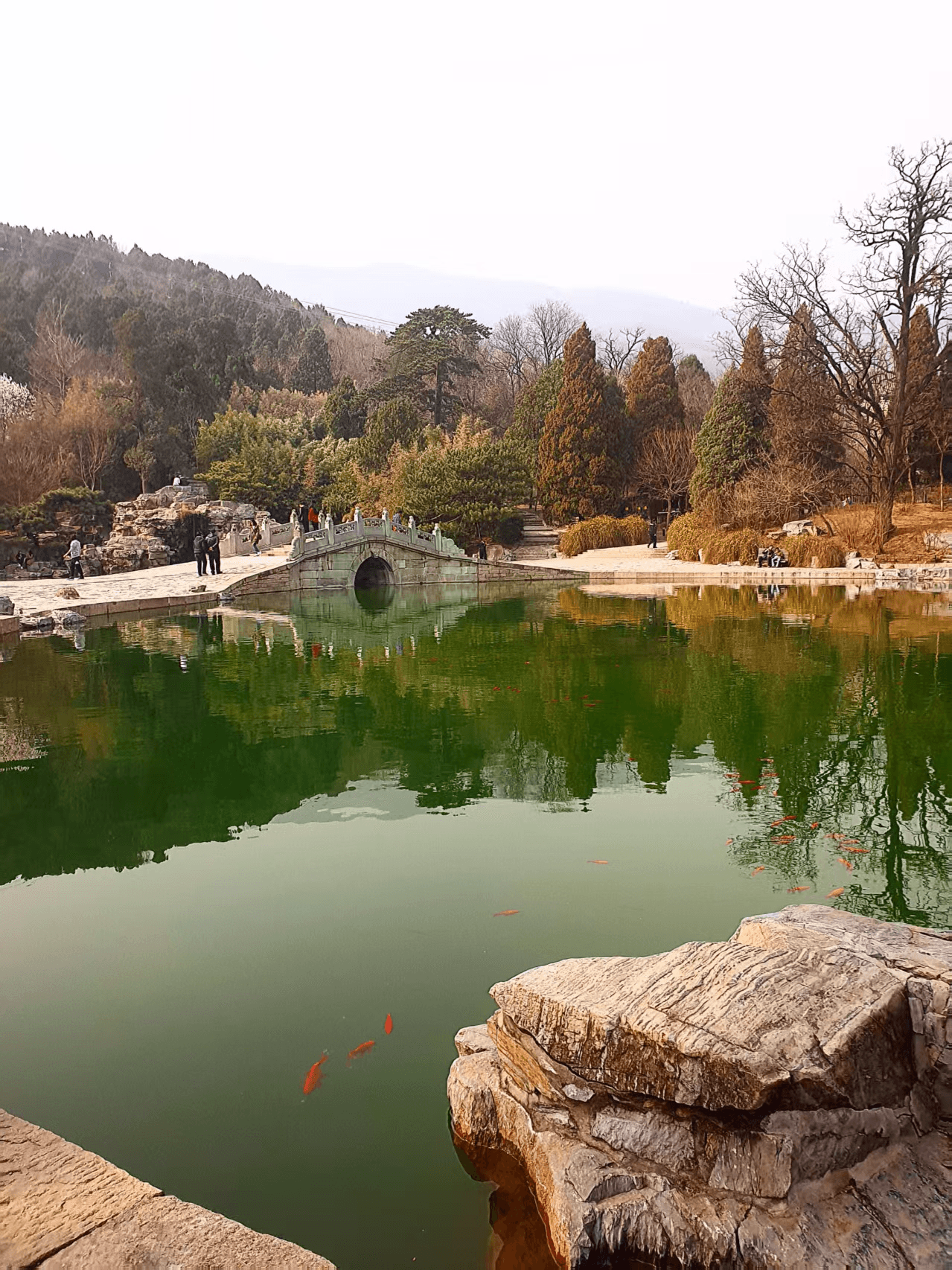 Weixin Image_20250415143944.png