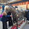 Weixin Image_20250415144402.png