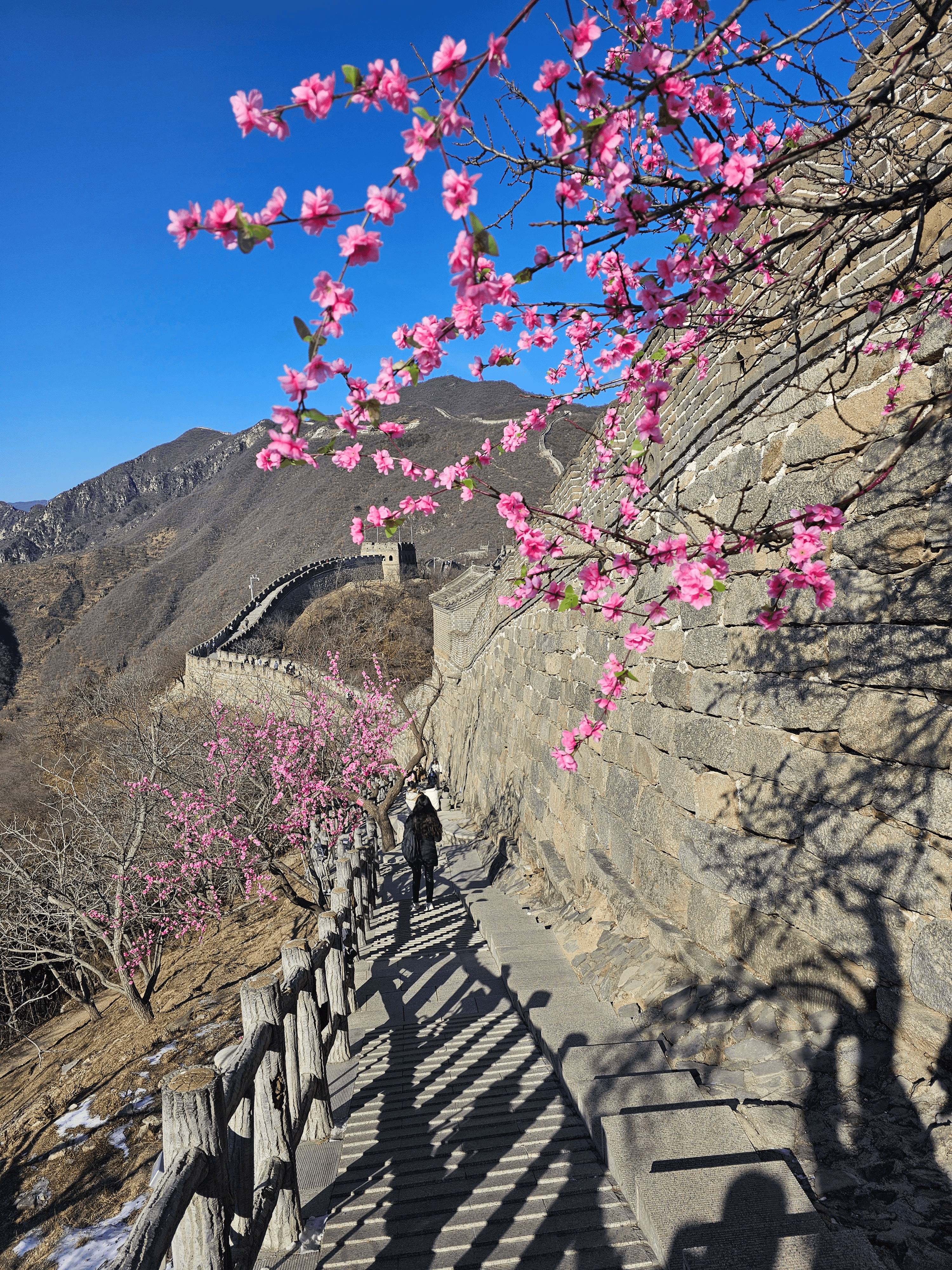 Weixin Image_20250415144458.png