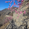 Weixin Image_20250415144458.png