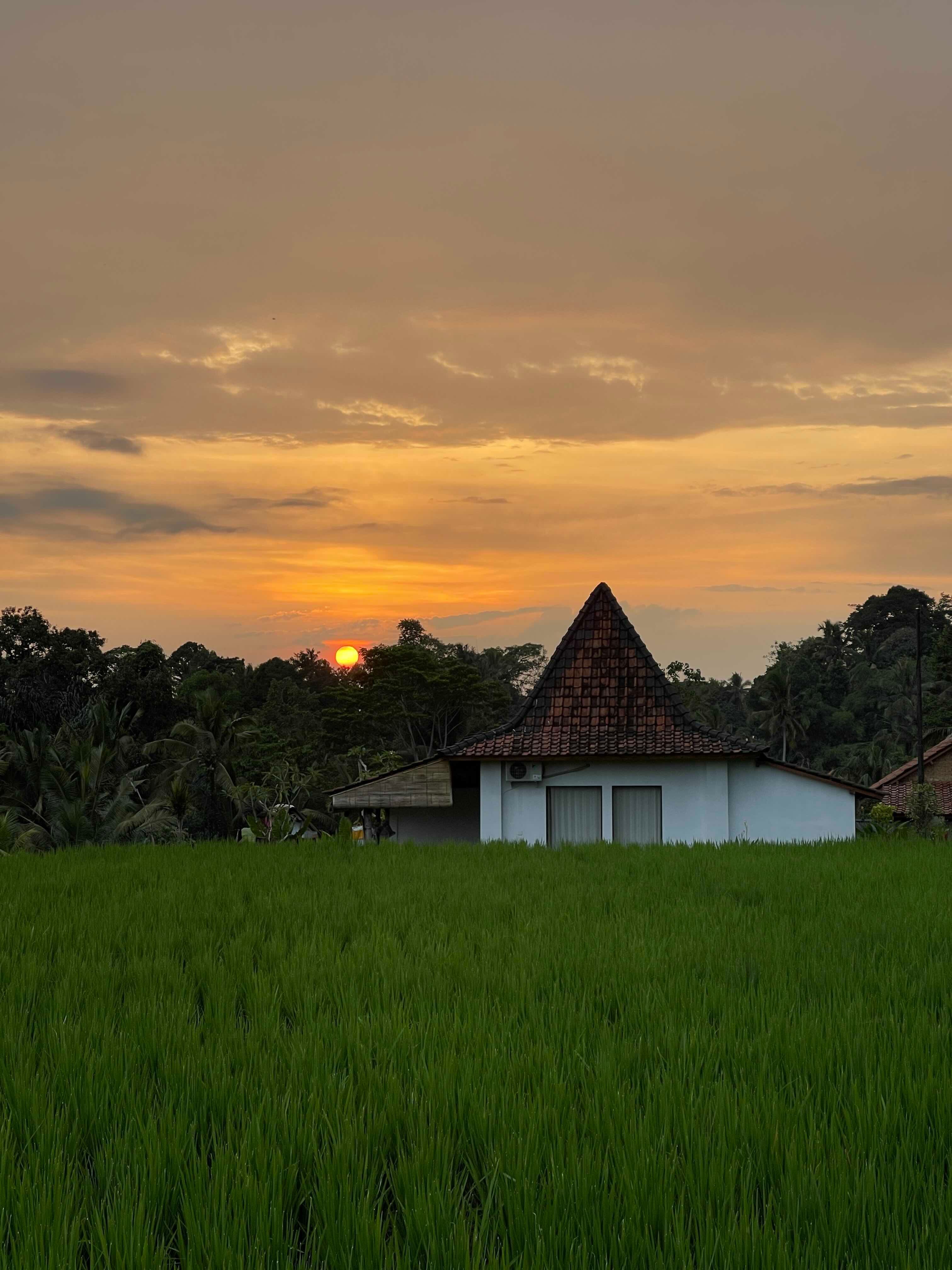 как мы провели полгода на Бали с двухмесячной дочкой