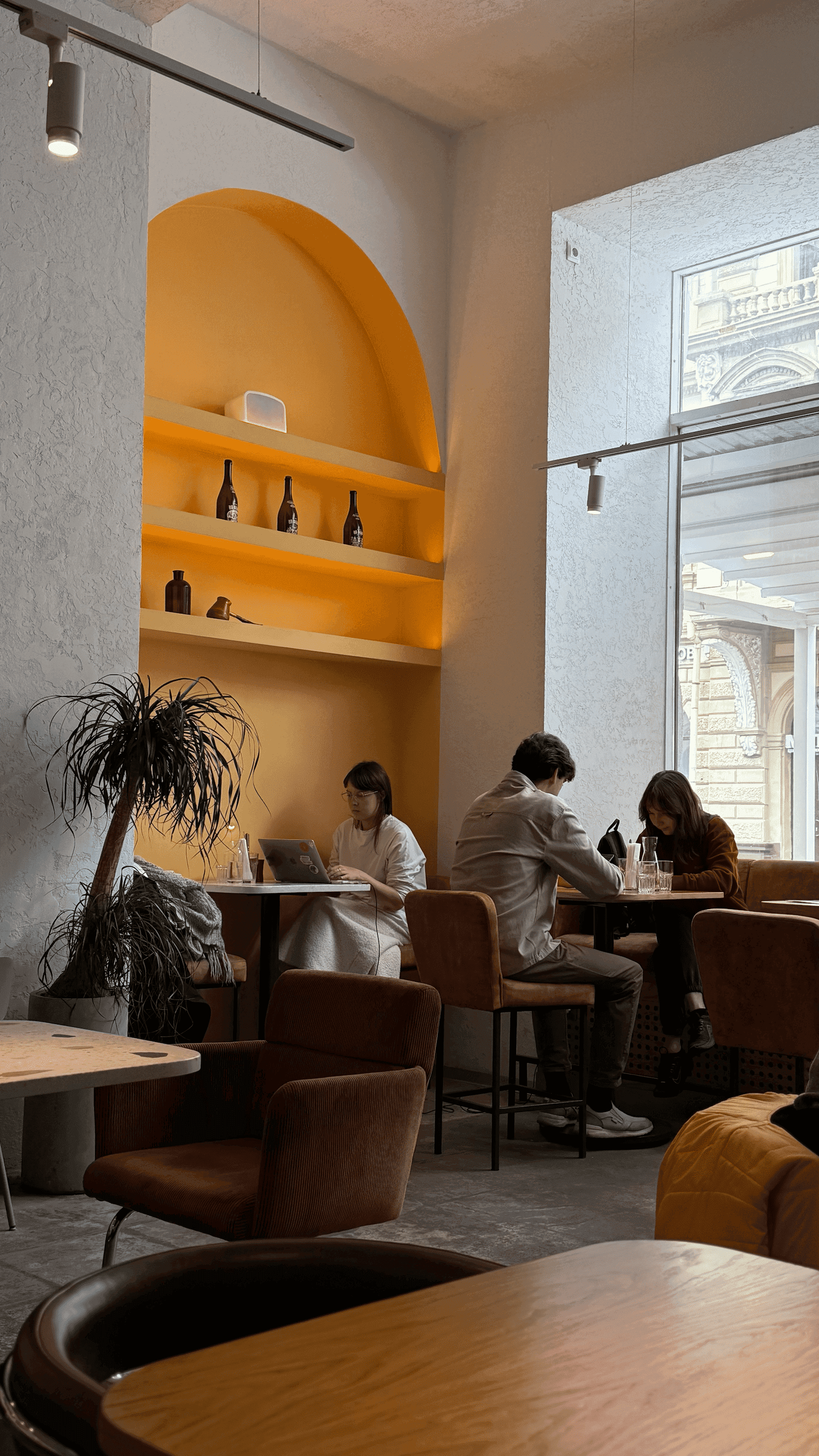 Заведение верхушка.png