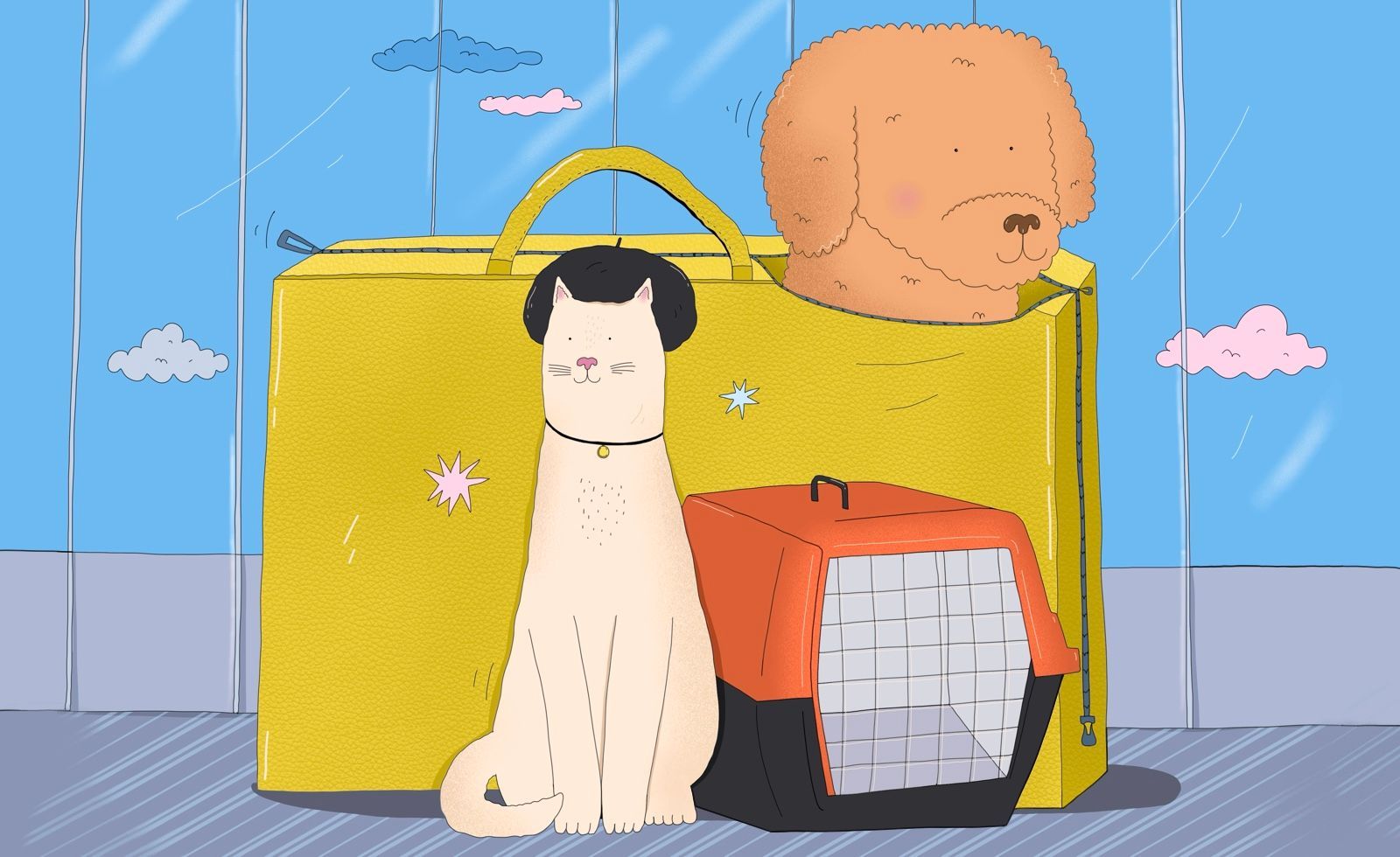 Как перевозить животных в самолёте: общие правила и требования авиакомпаний